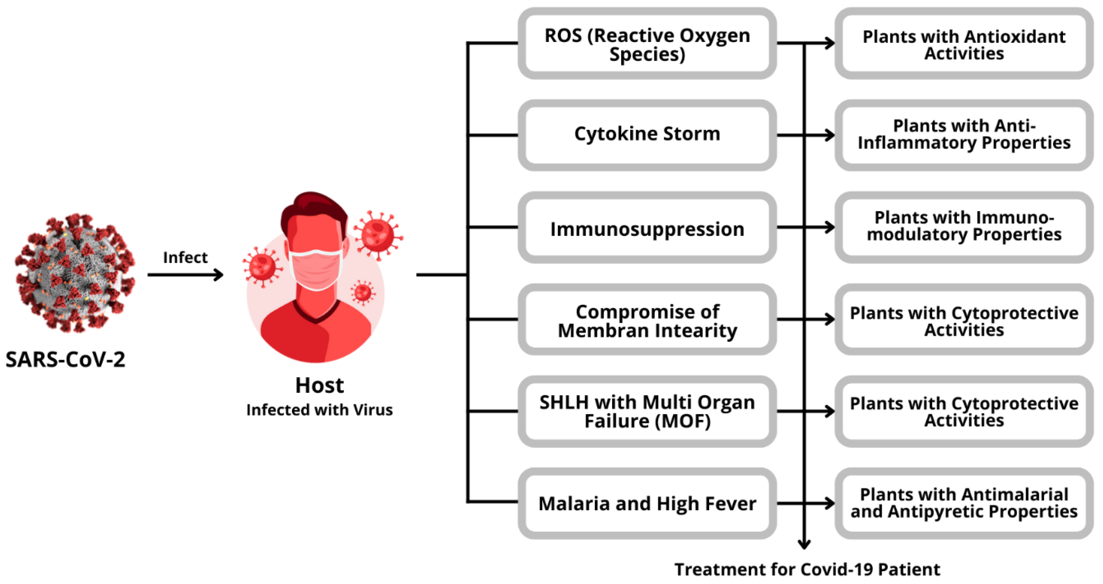 Antioxidants 11 01551 g008