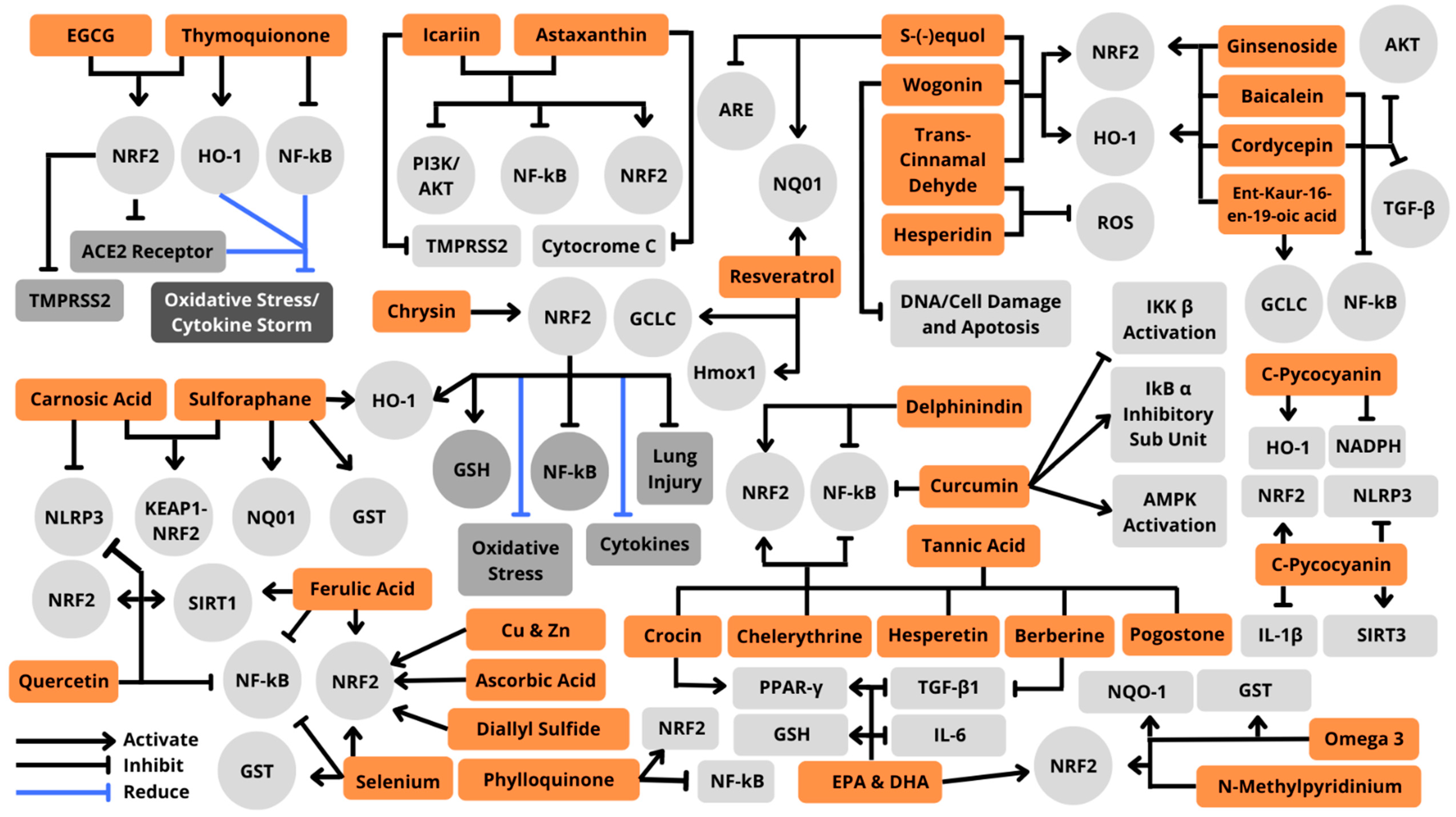 Antioxidants 11 01551 g009