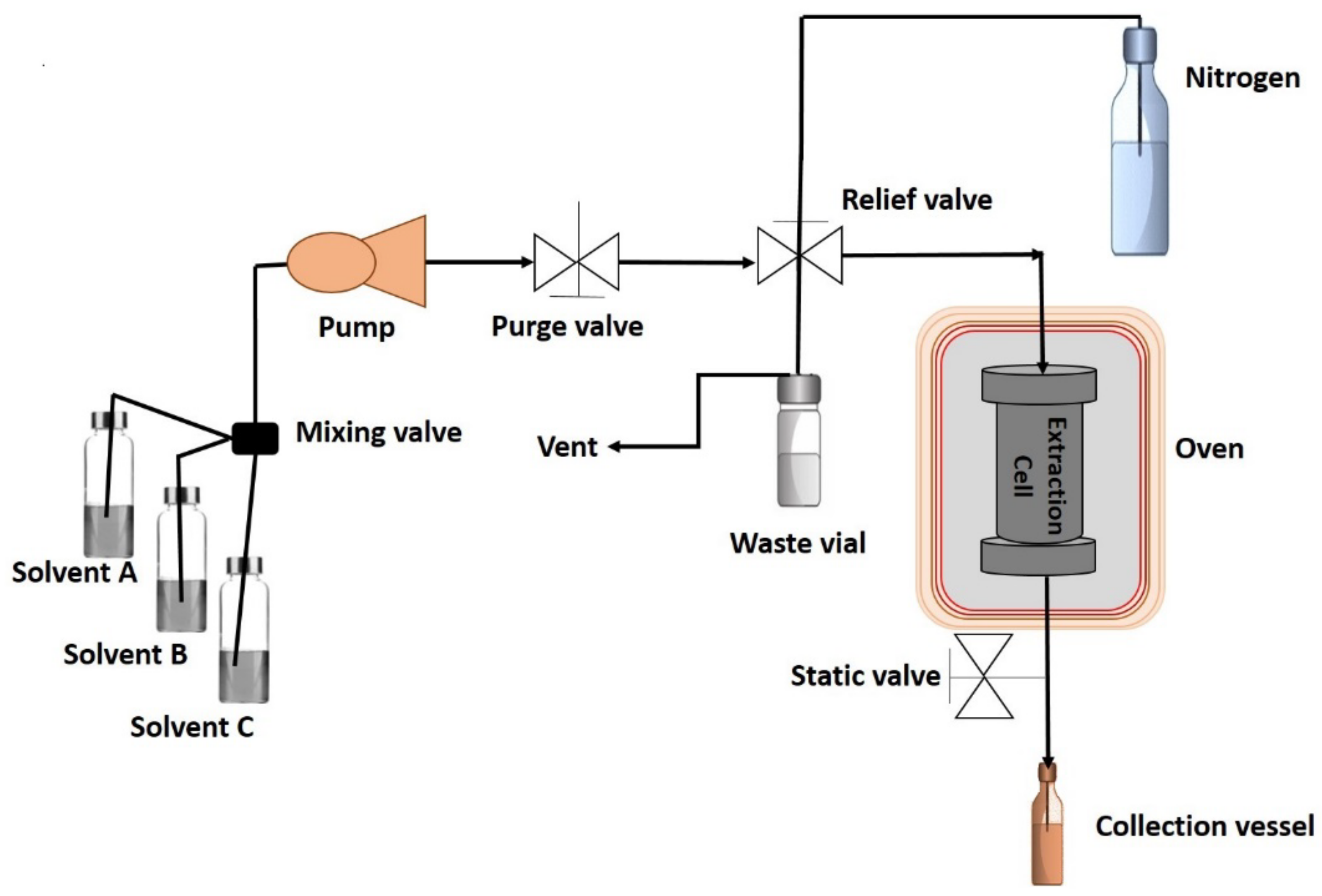 Antioxidants 11 01552 g001