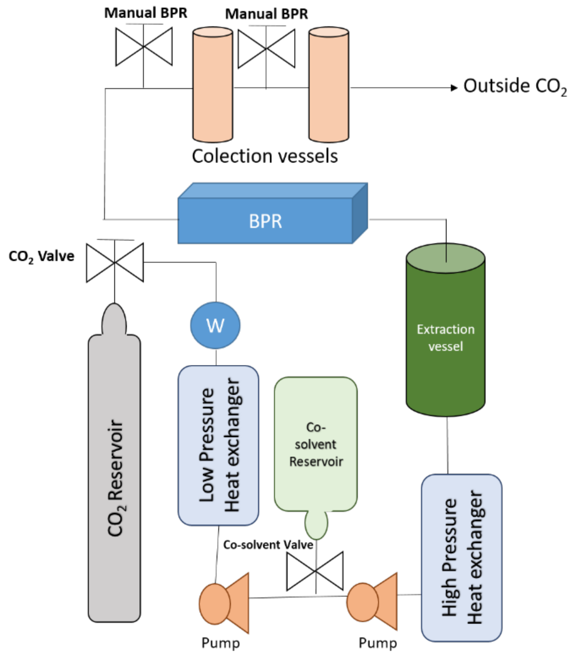 Antioxidants 11 01552 g002