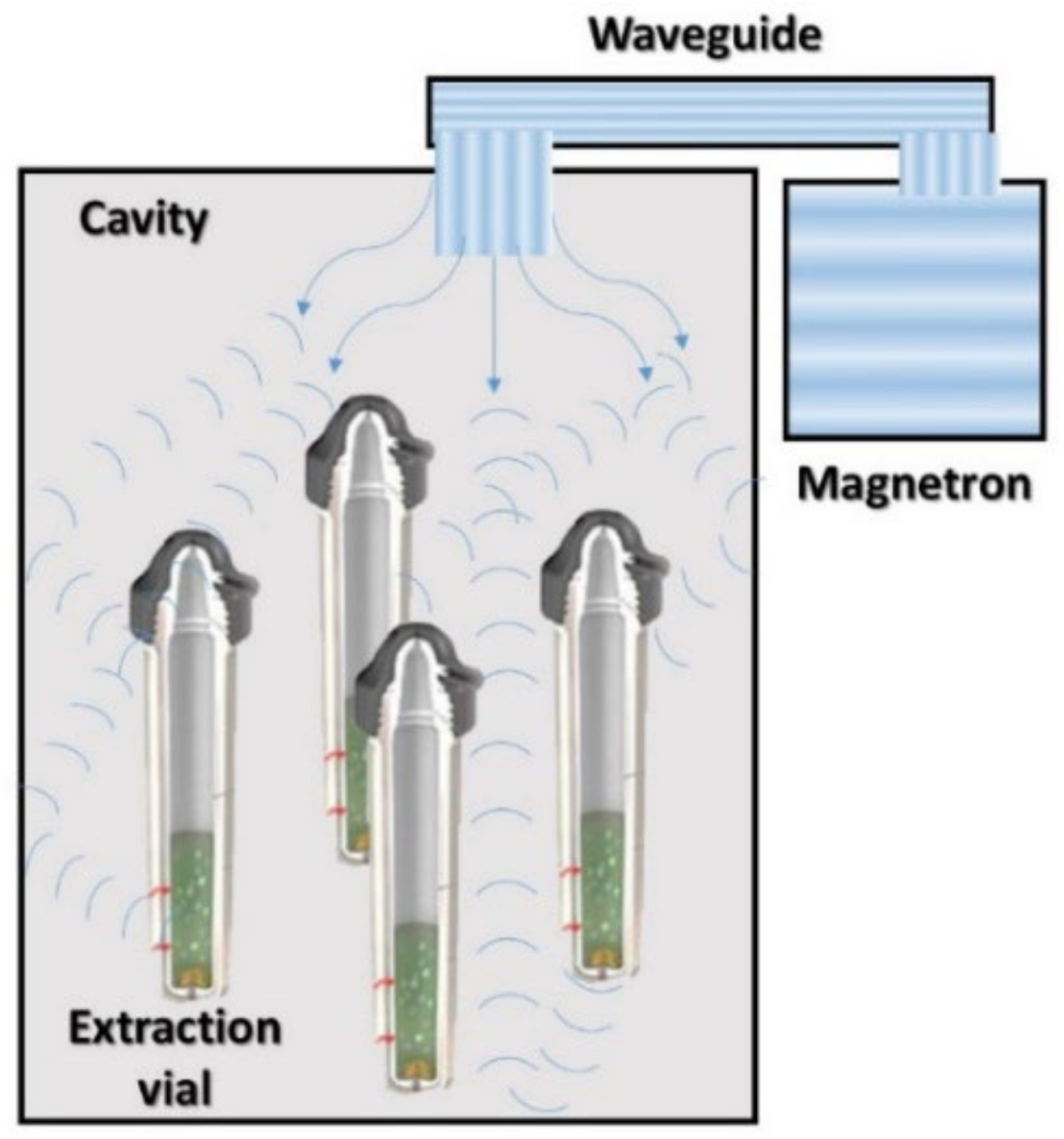Antioxidants 11 01552 g003