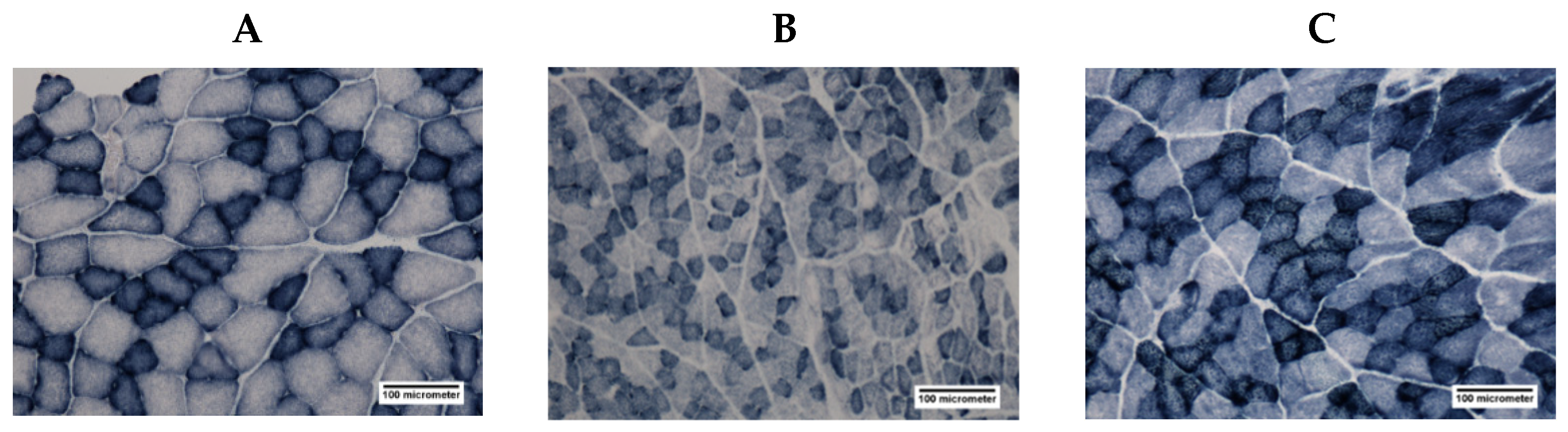 Antioxidants 11 01555 g006