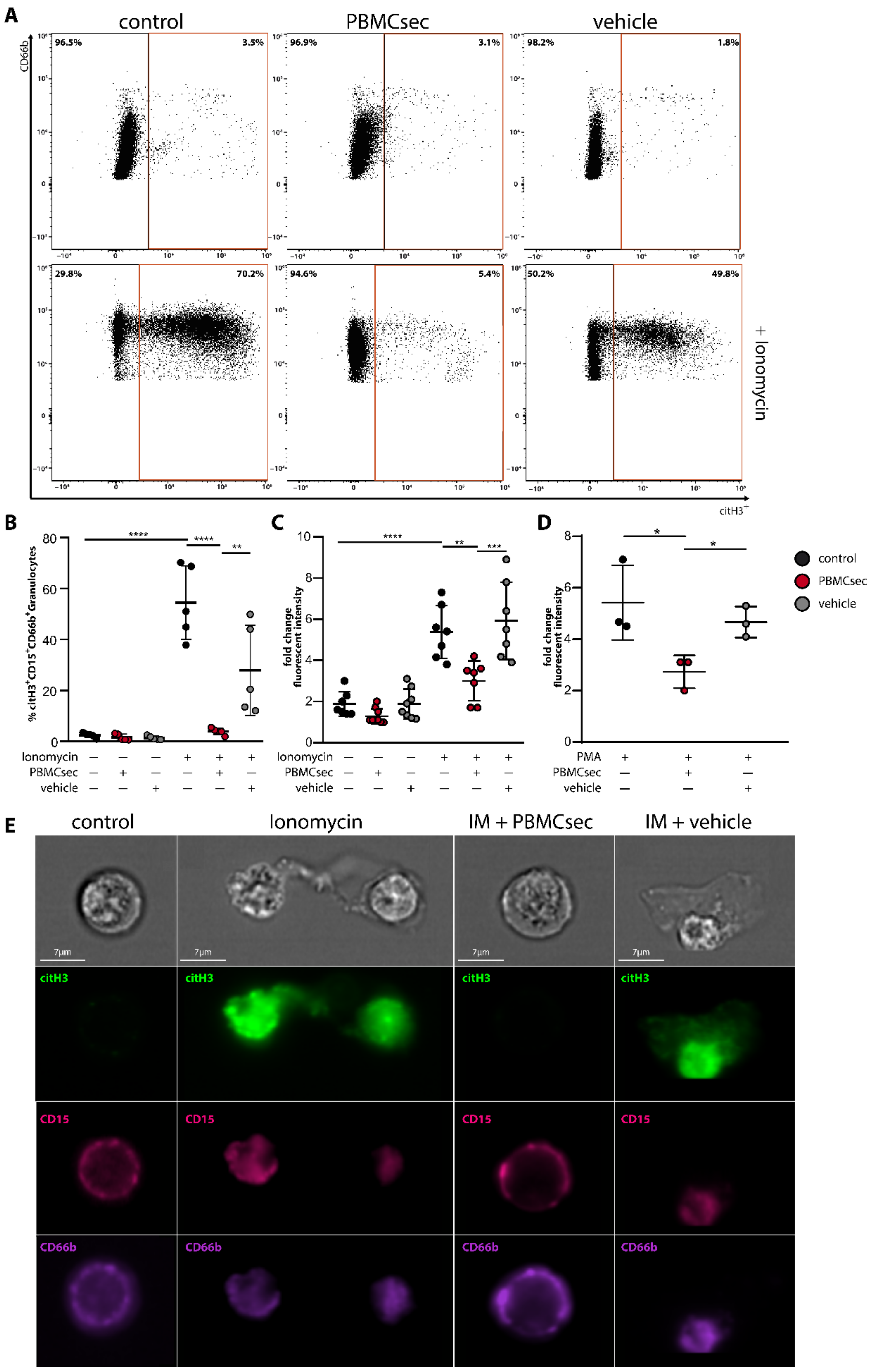 Antioxidants 11 01559 g001
