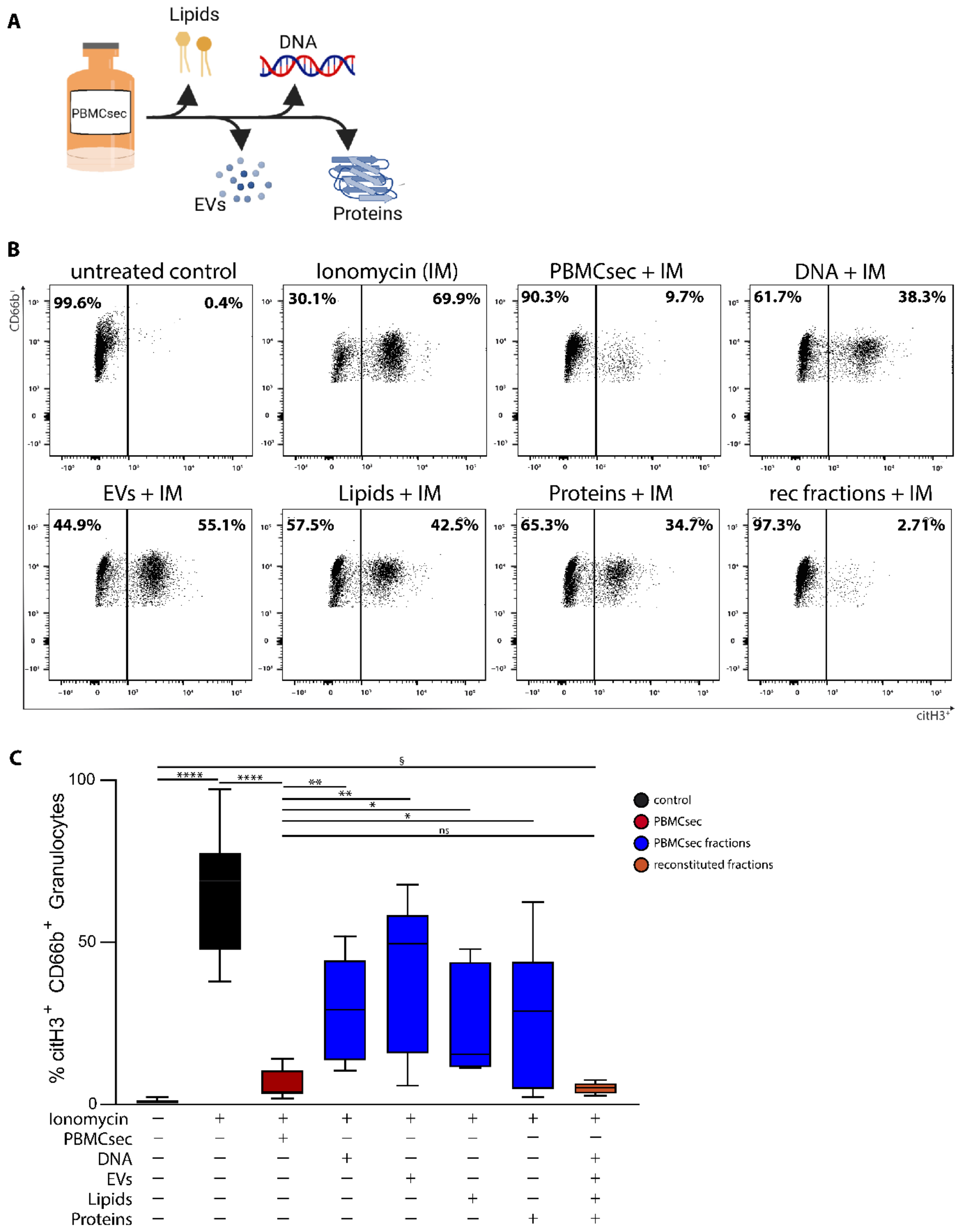 Antioxidants 11 01559 g002