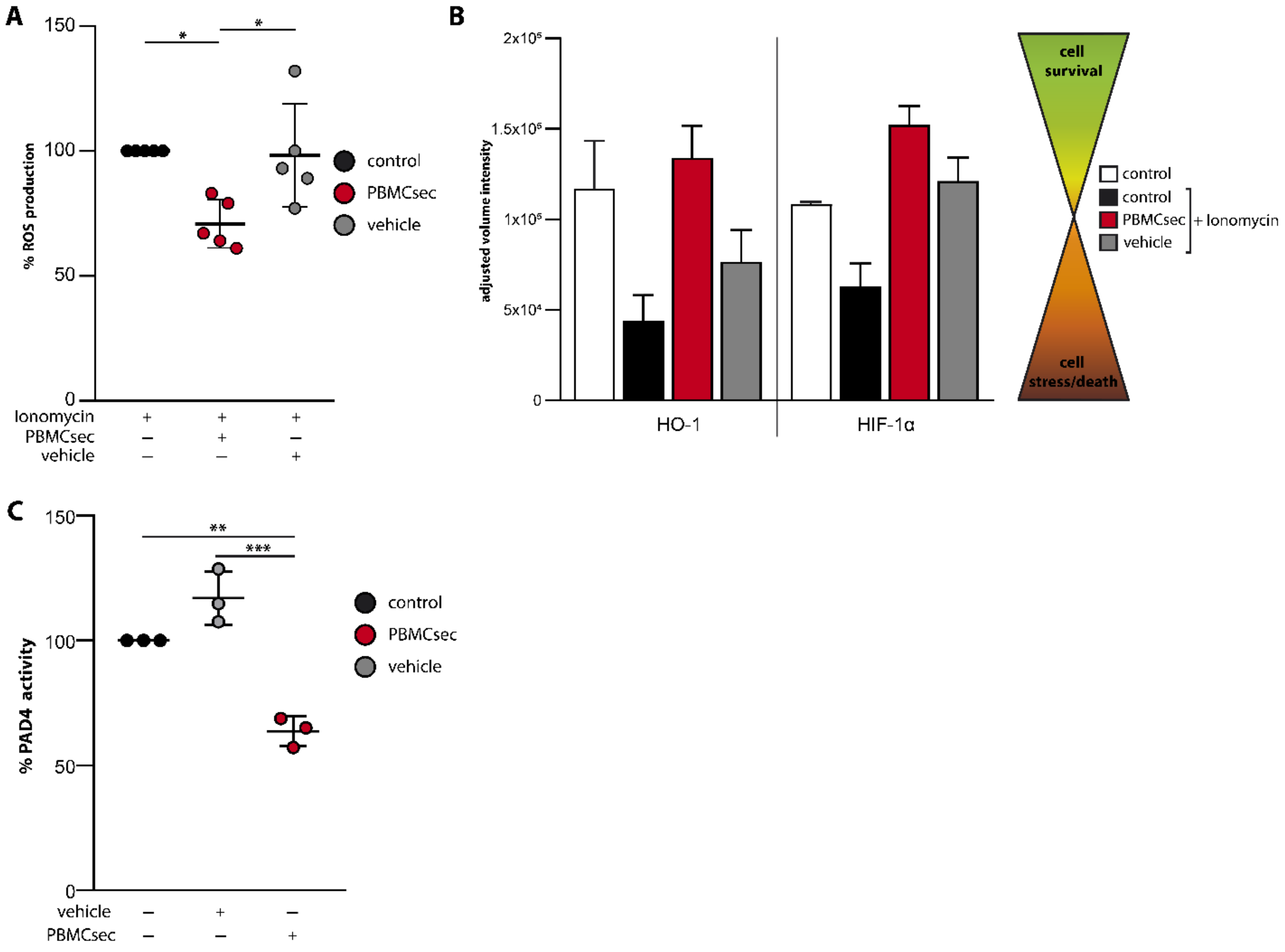 Antioxidants 11 01559 g005