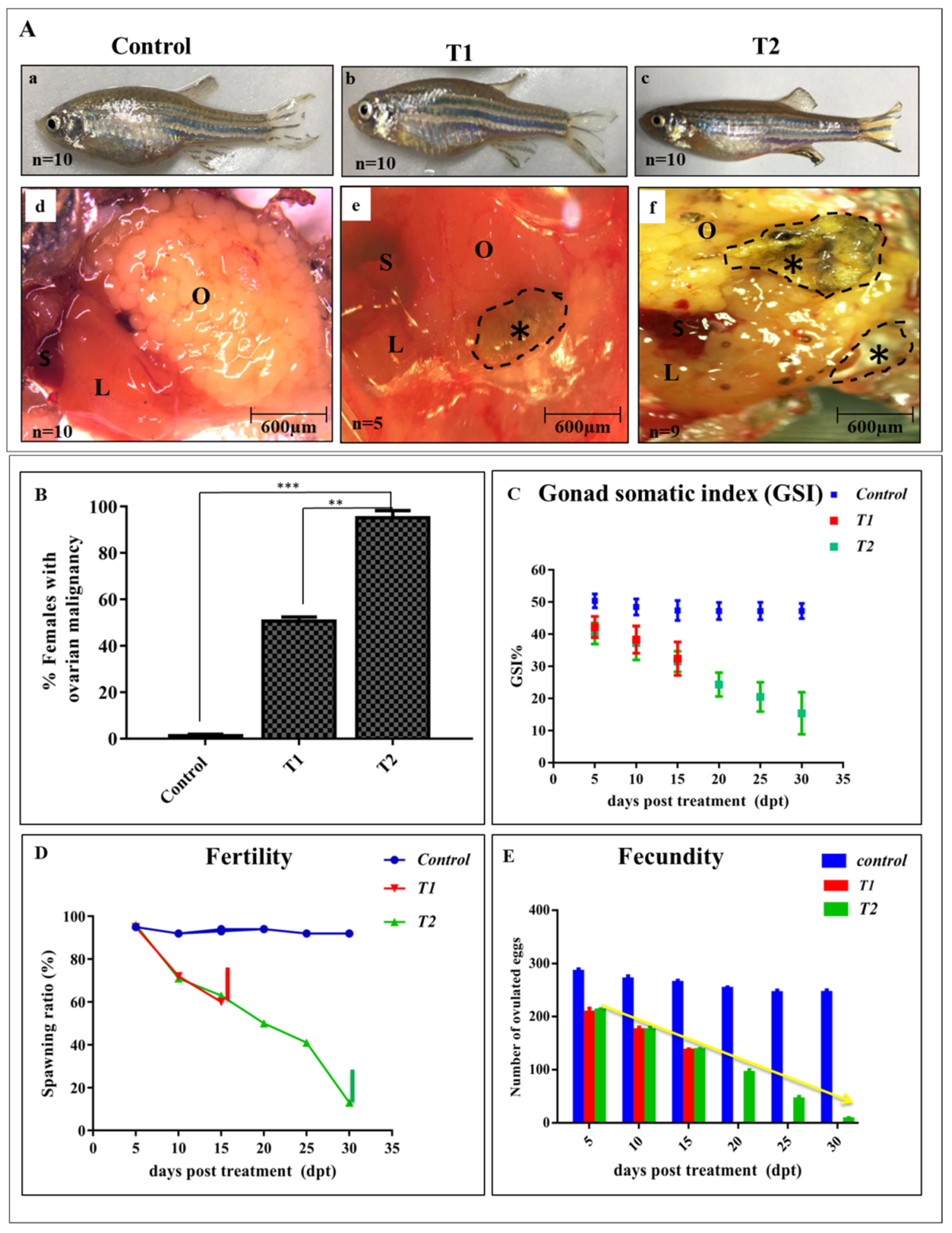 Antioxidants 11 01567 g002