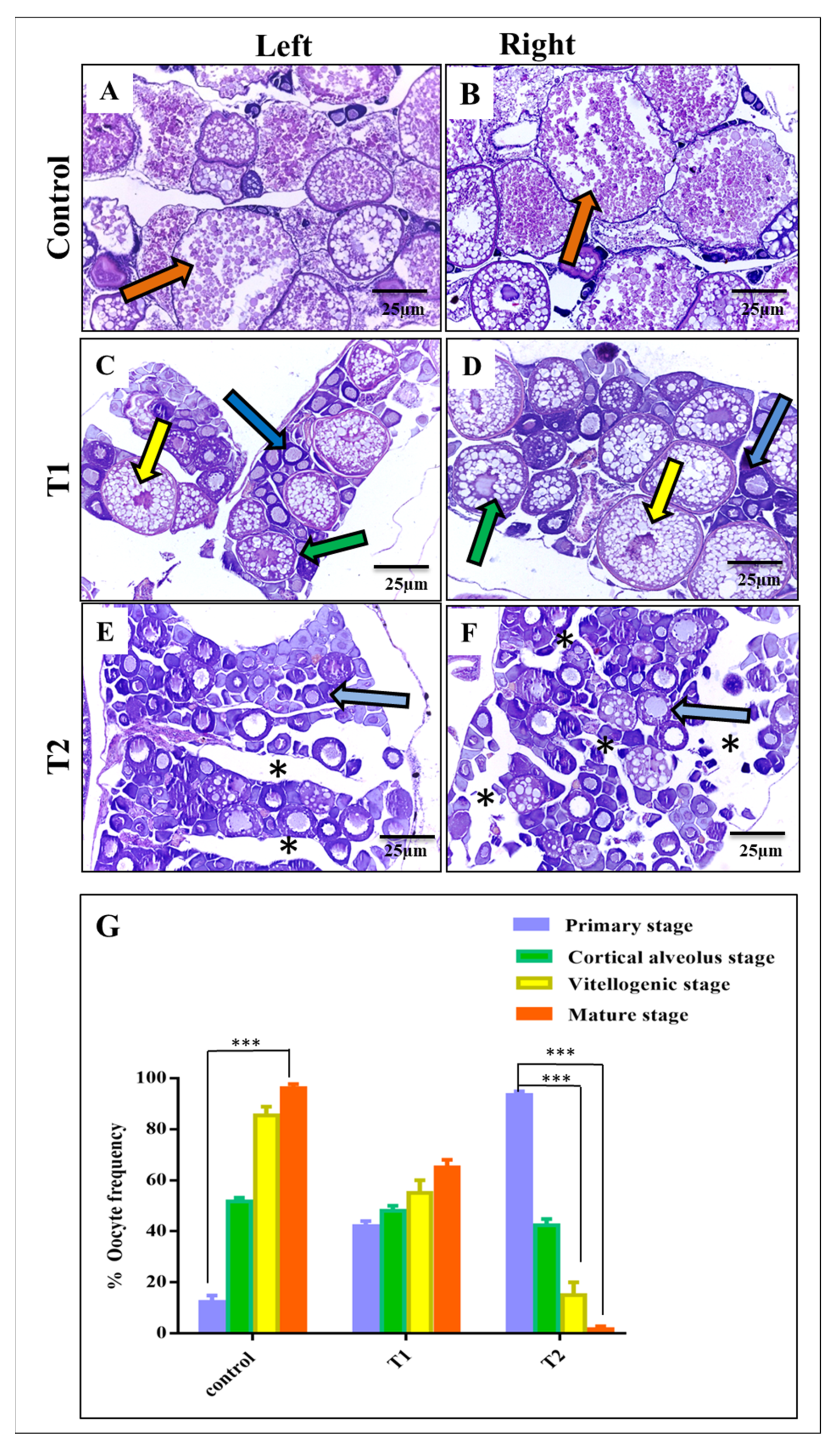 Antioxidants 11 01567 g004
