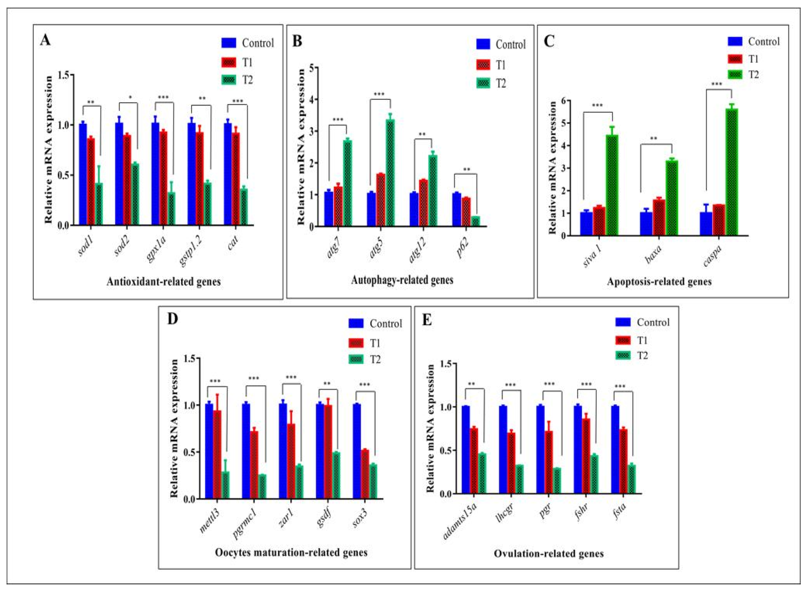 Antioxidants 11 01567 g007