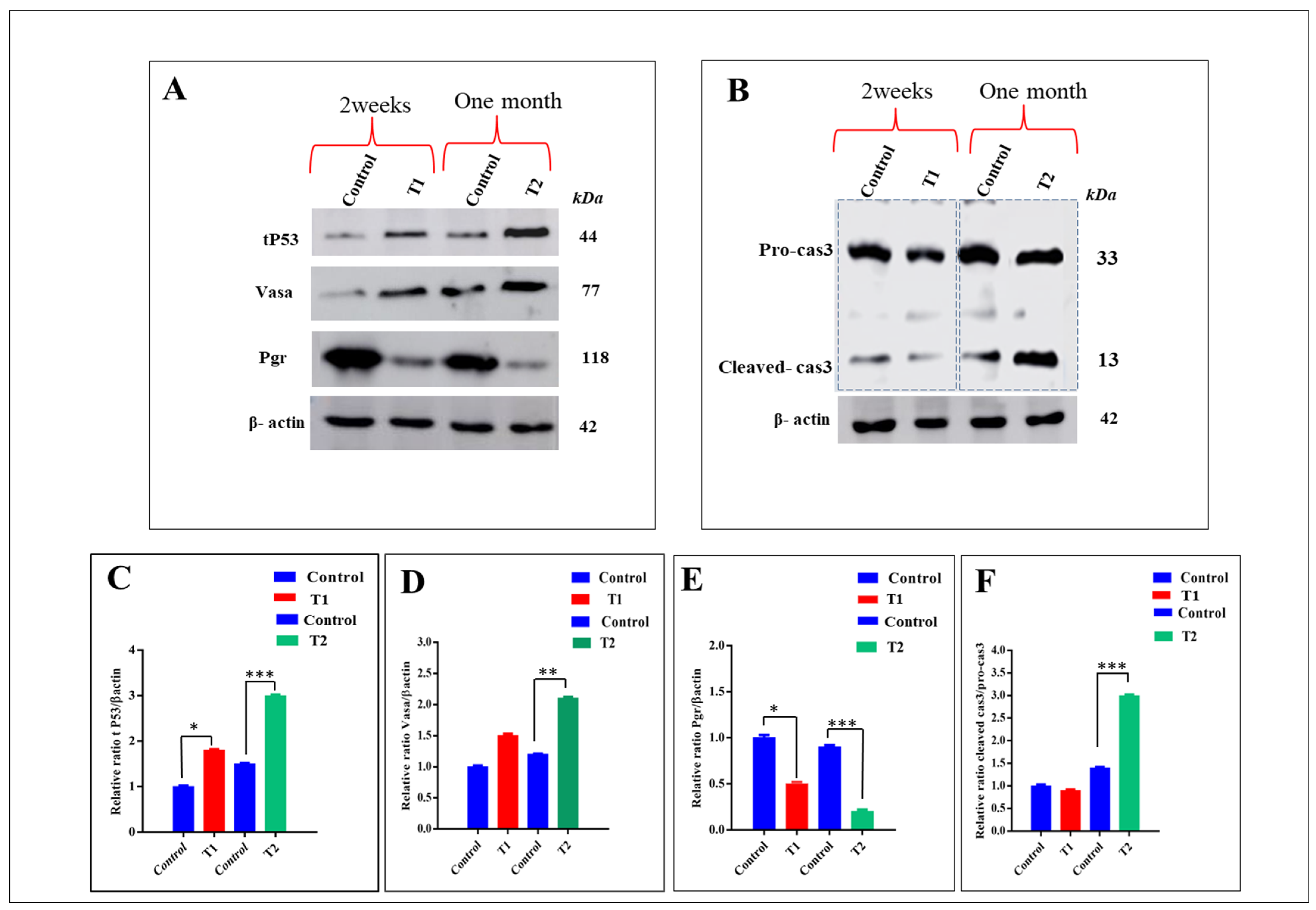 Antioxidants 11 01567 g008