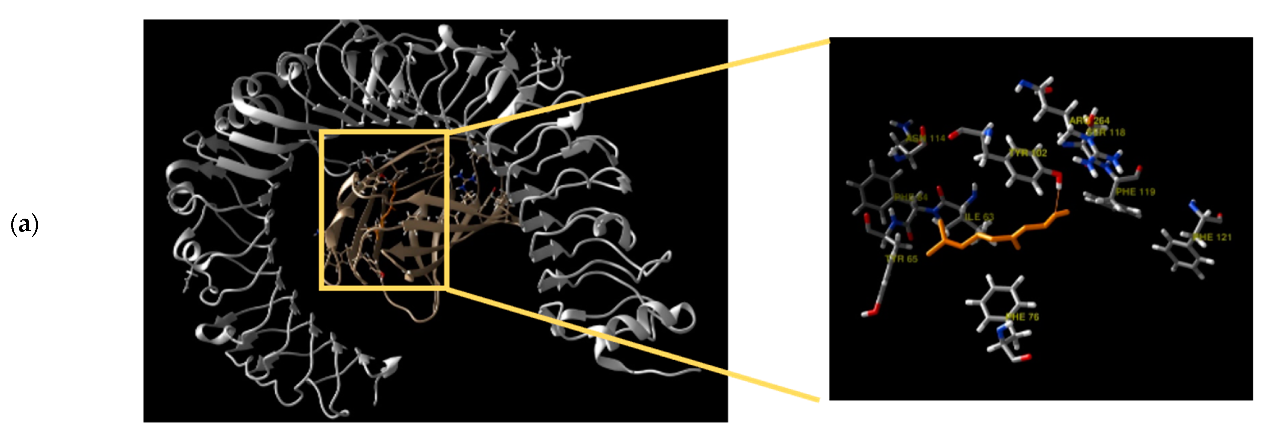 Antioxidants 11 01568 g004a