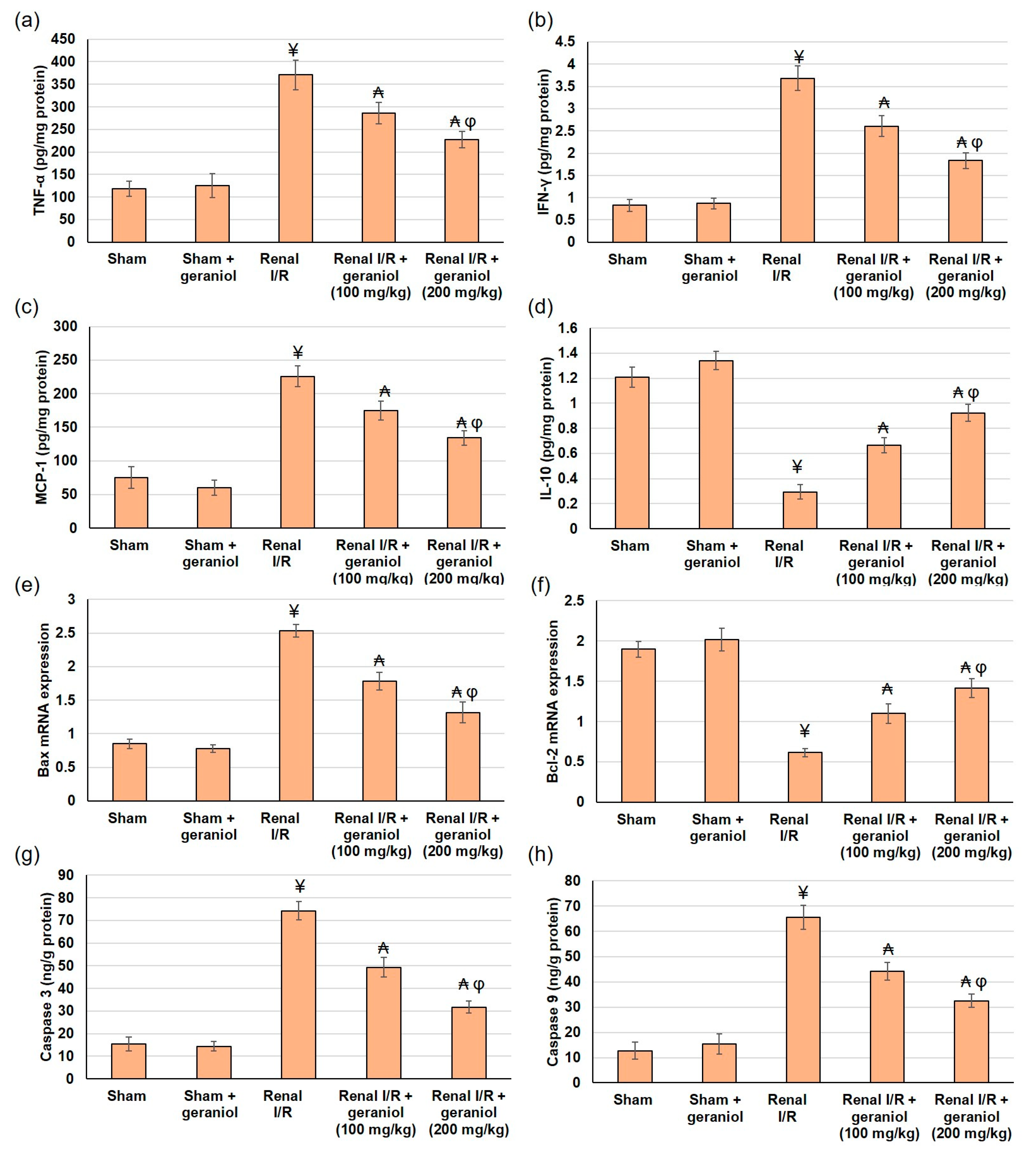 Antioxidants 11 01568 g007