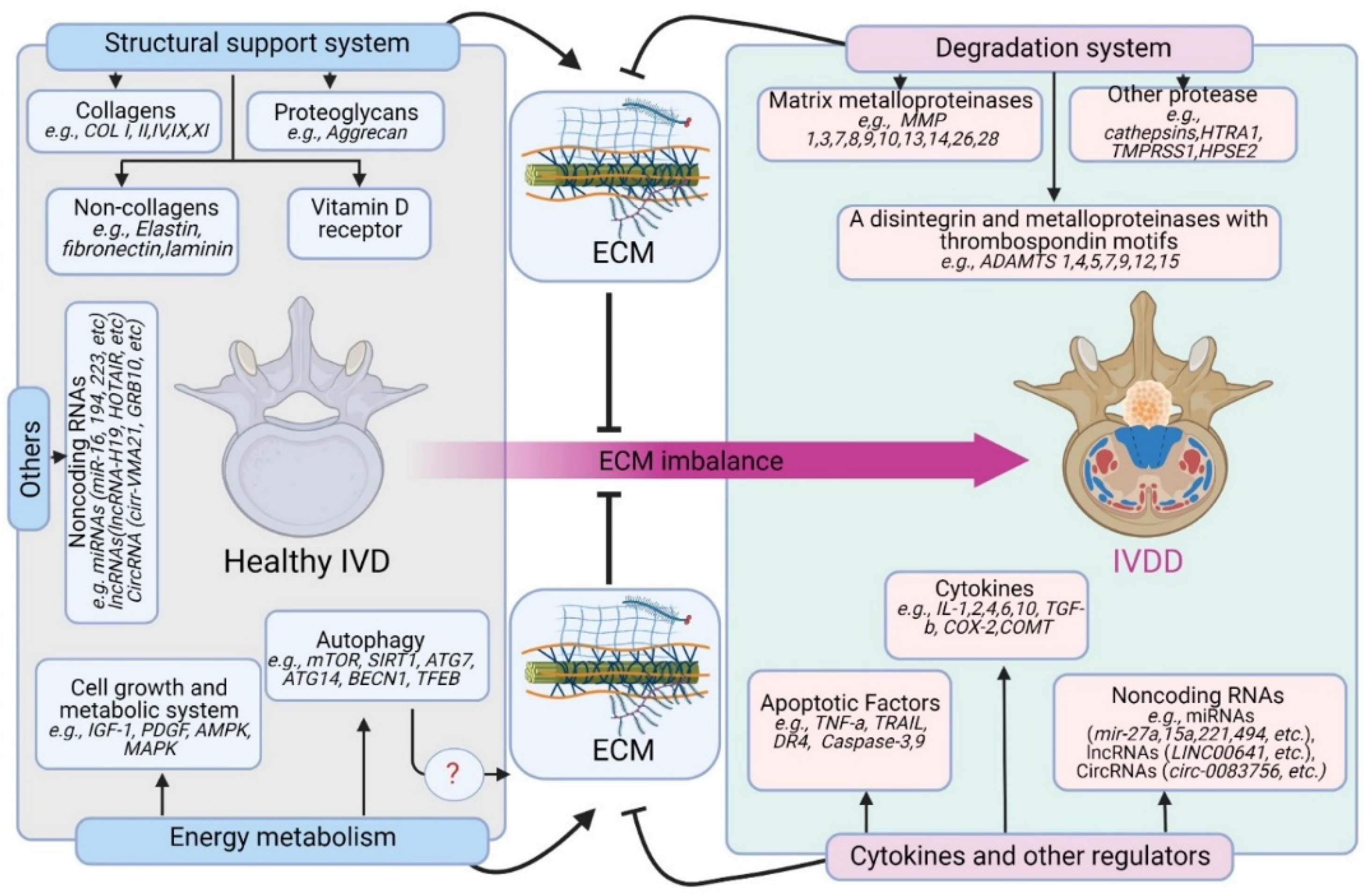 Antioxidants 11 01571 g002