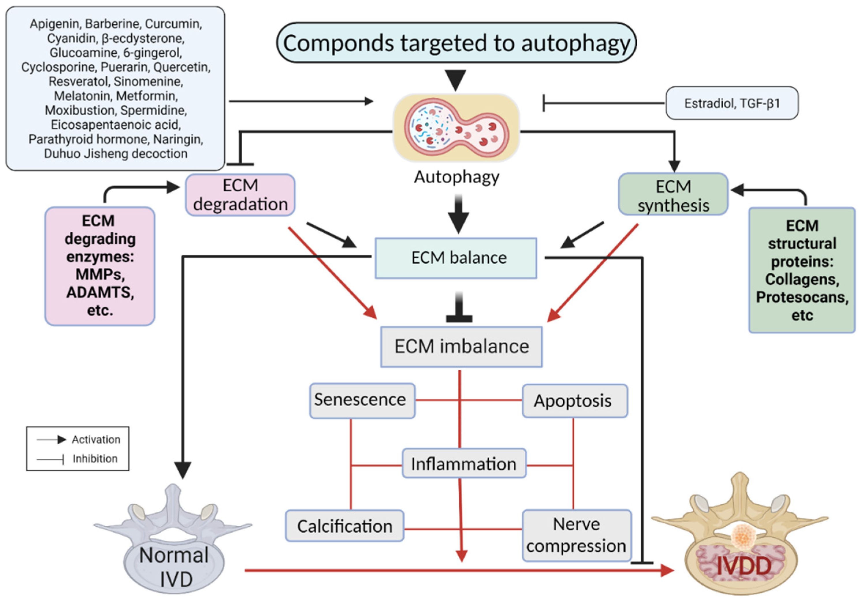 Antioxidants 11 01571 g005