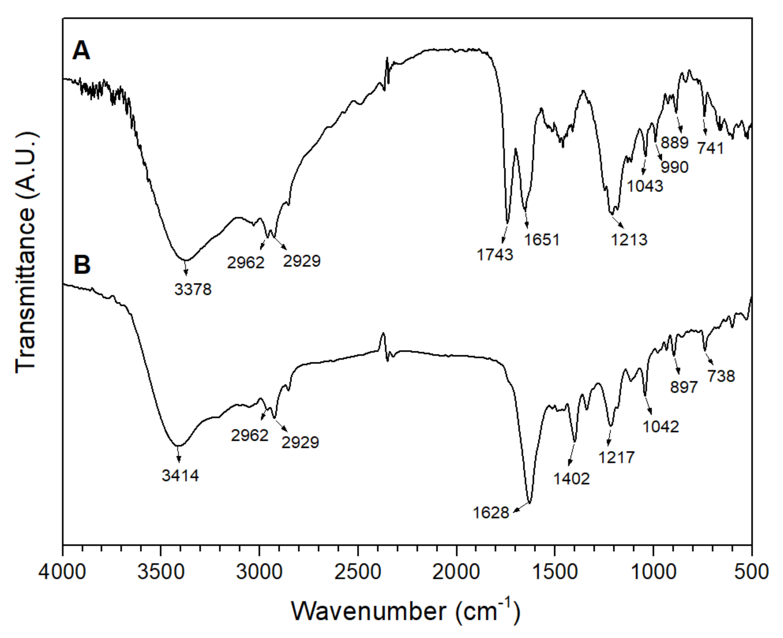 Antioxidants 11 01574 g002