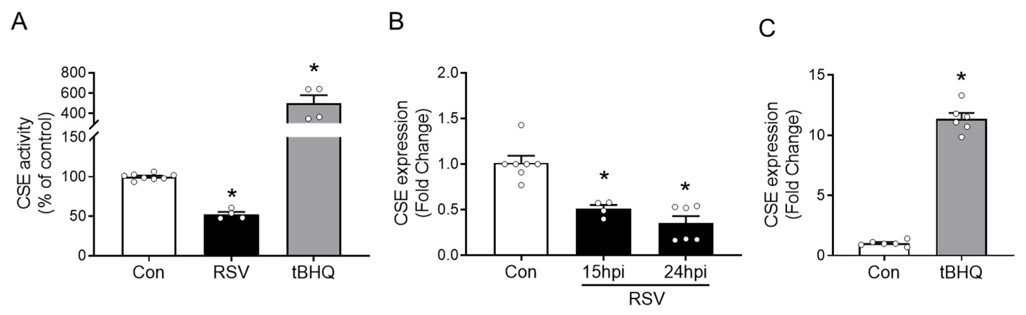 Antioxidants 11 01582 g001