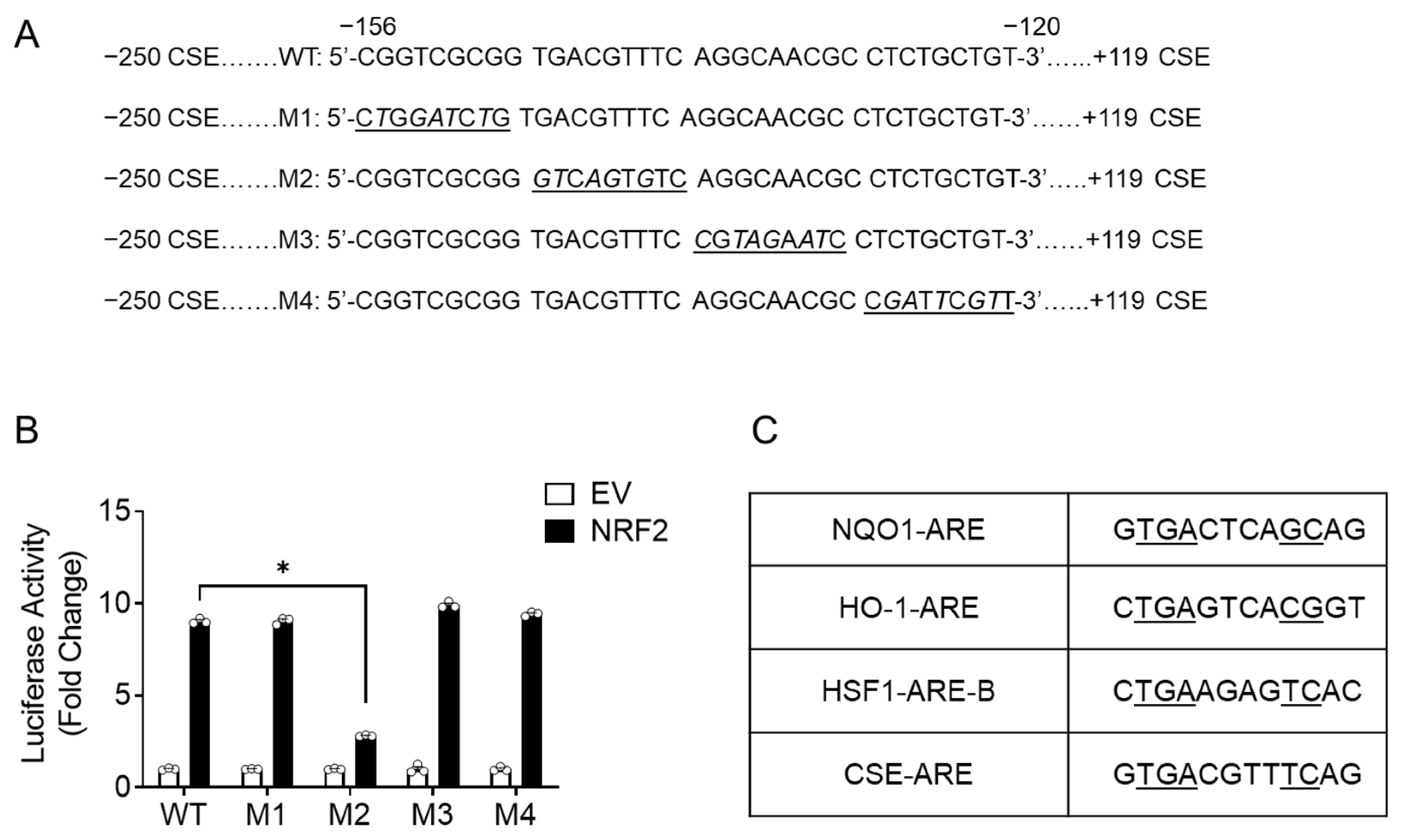 Antioxidants 11 01582 g004