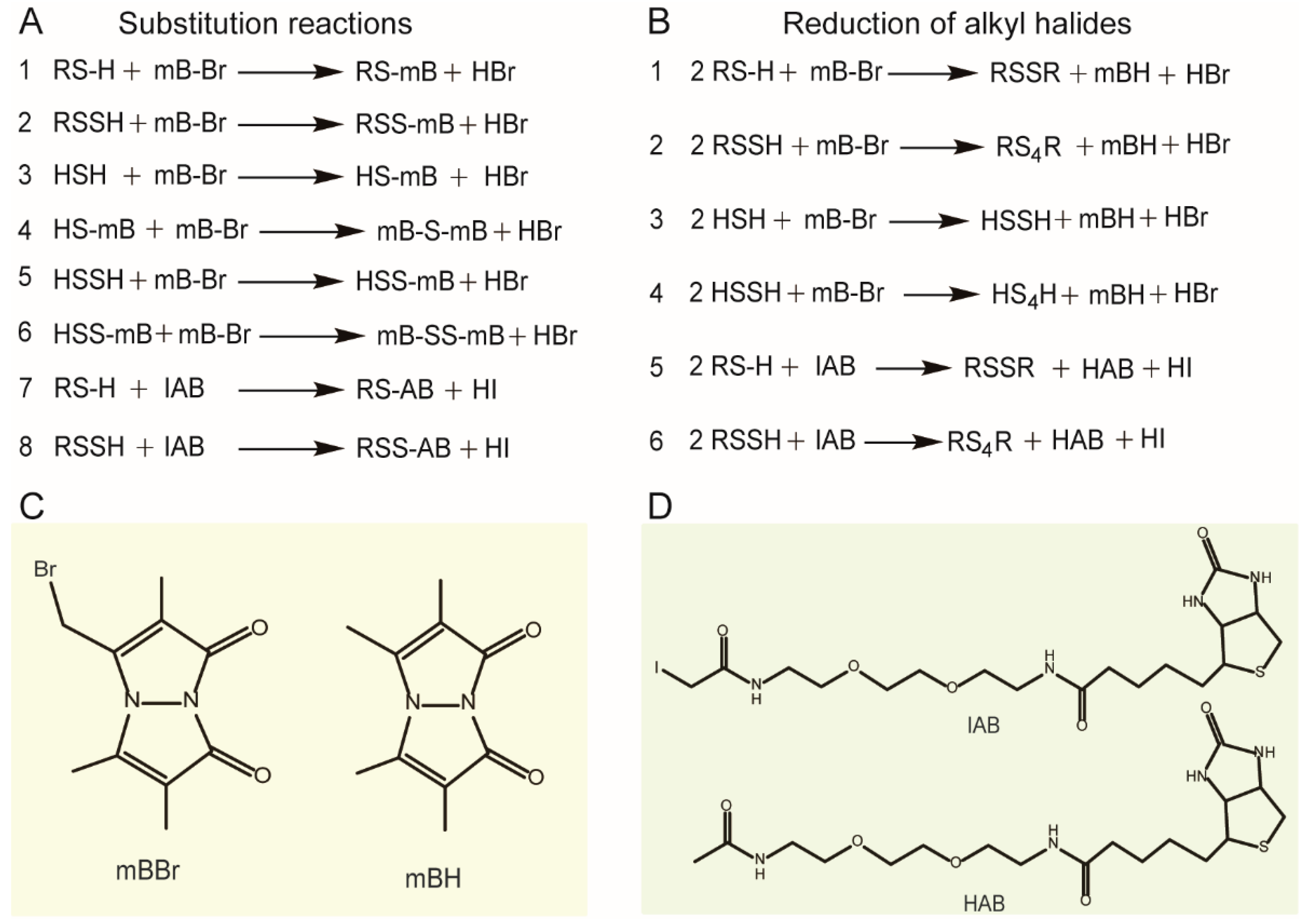 Antioxidants 11 01583 g001