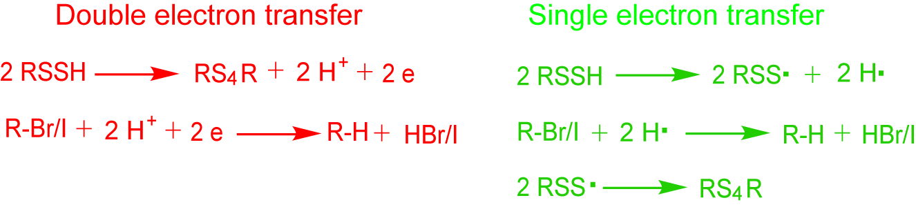 Antioxidants 11 01583 g005
