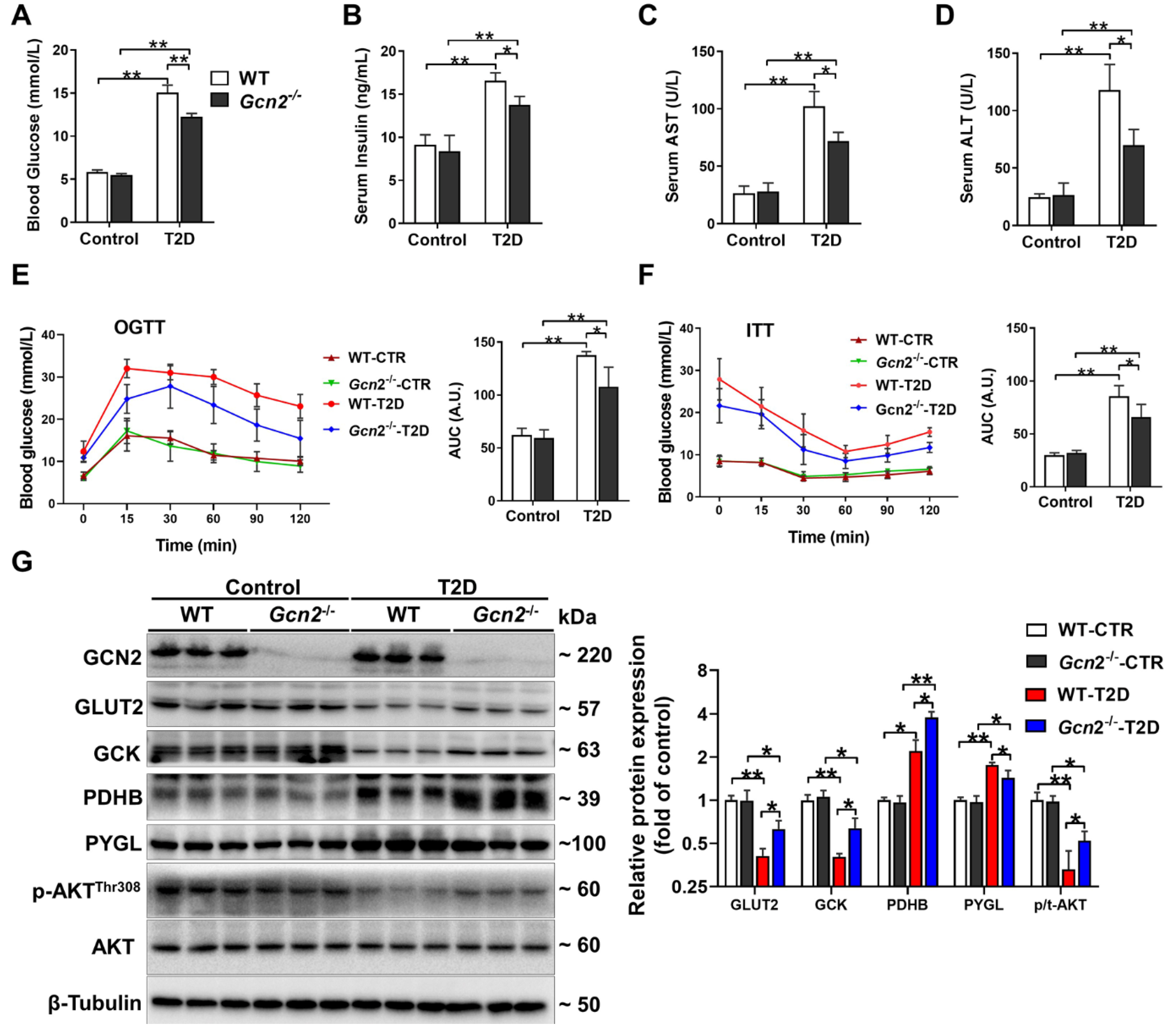 Antioxidants 11 01584 g001
