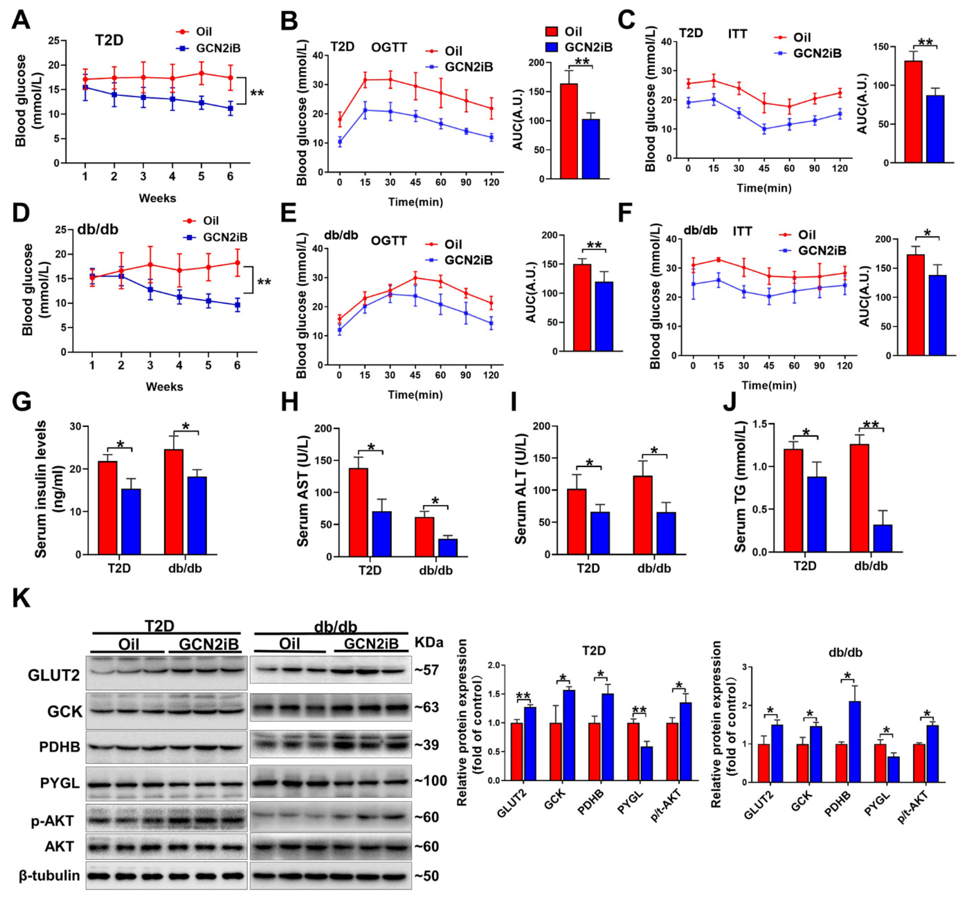 Antioxidants 11 01584 g003