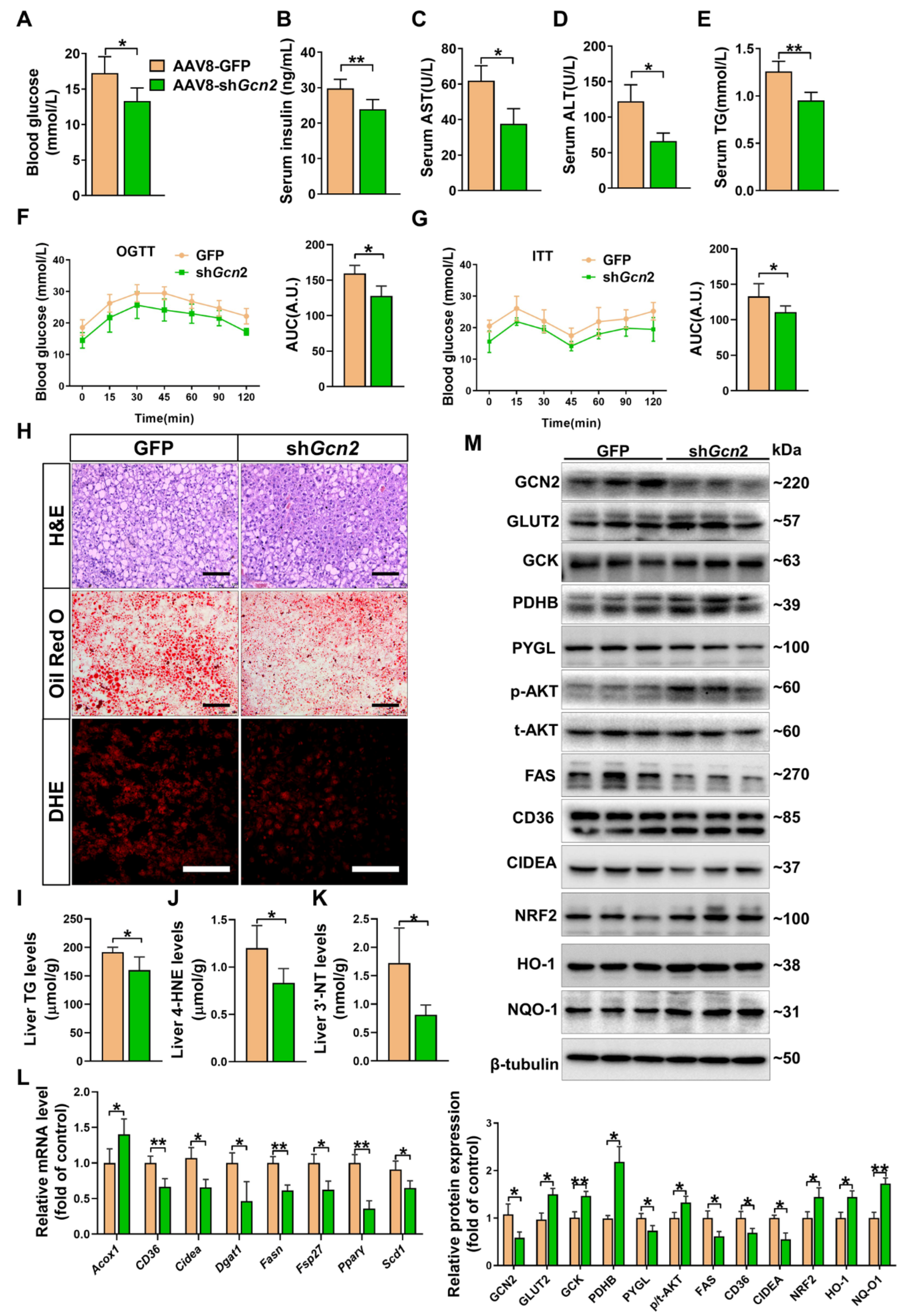 Antioxidants 11 01584 g005