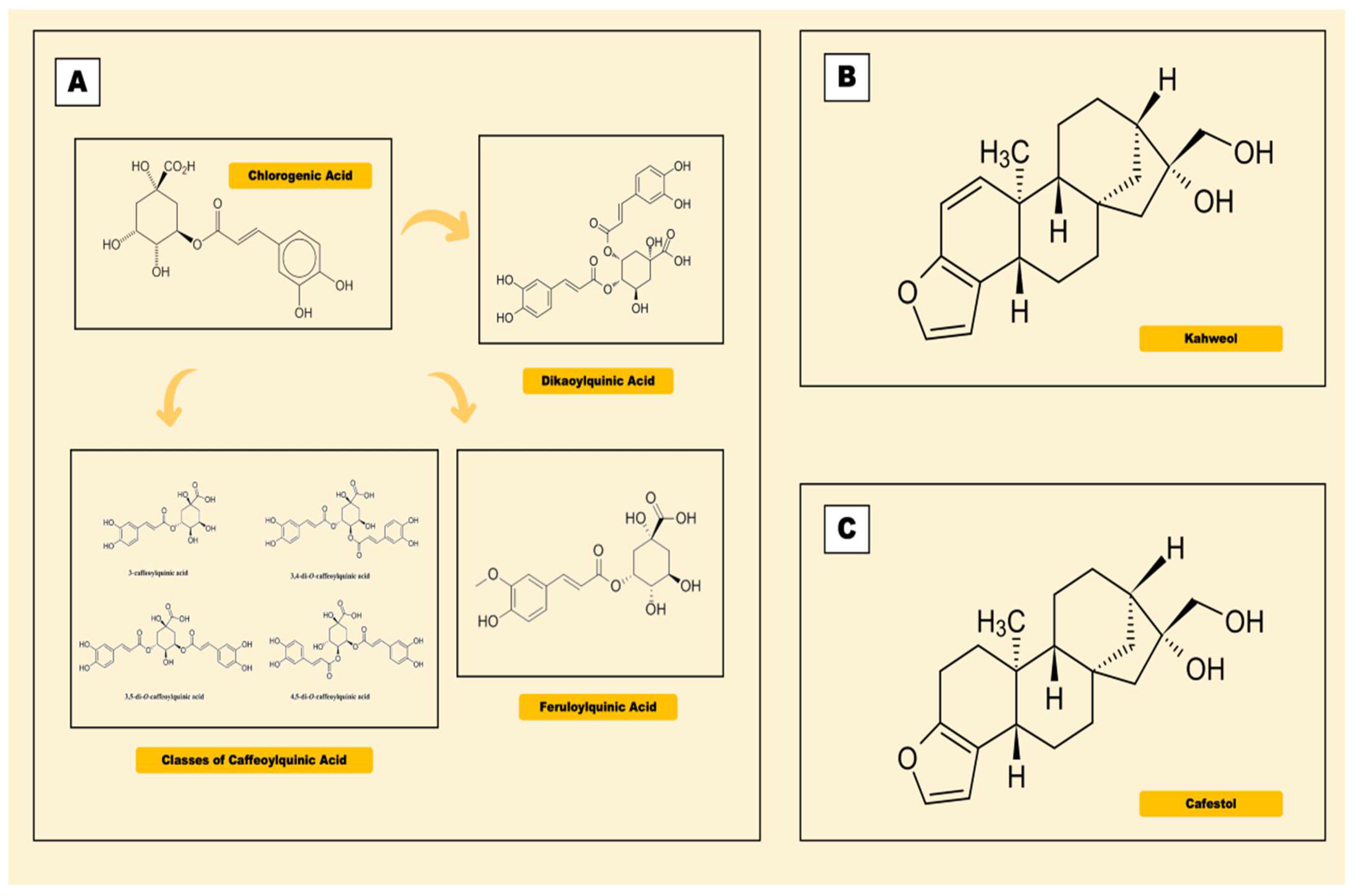Antioxidants 11 01587 g001 Antioxidants 11 01587 g001