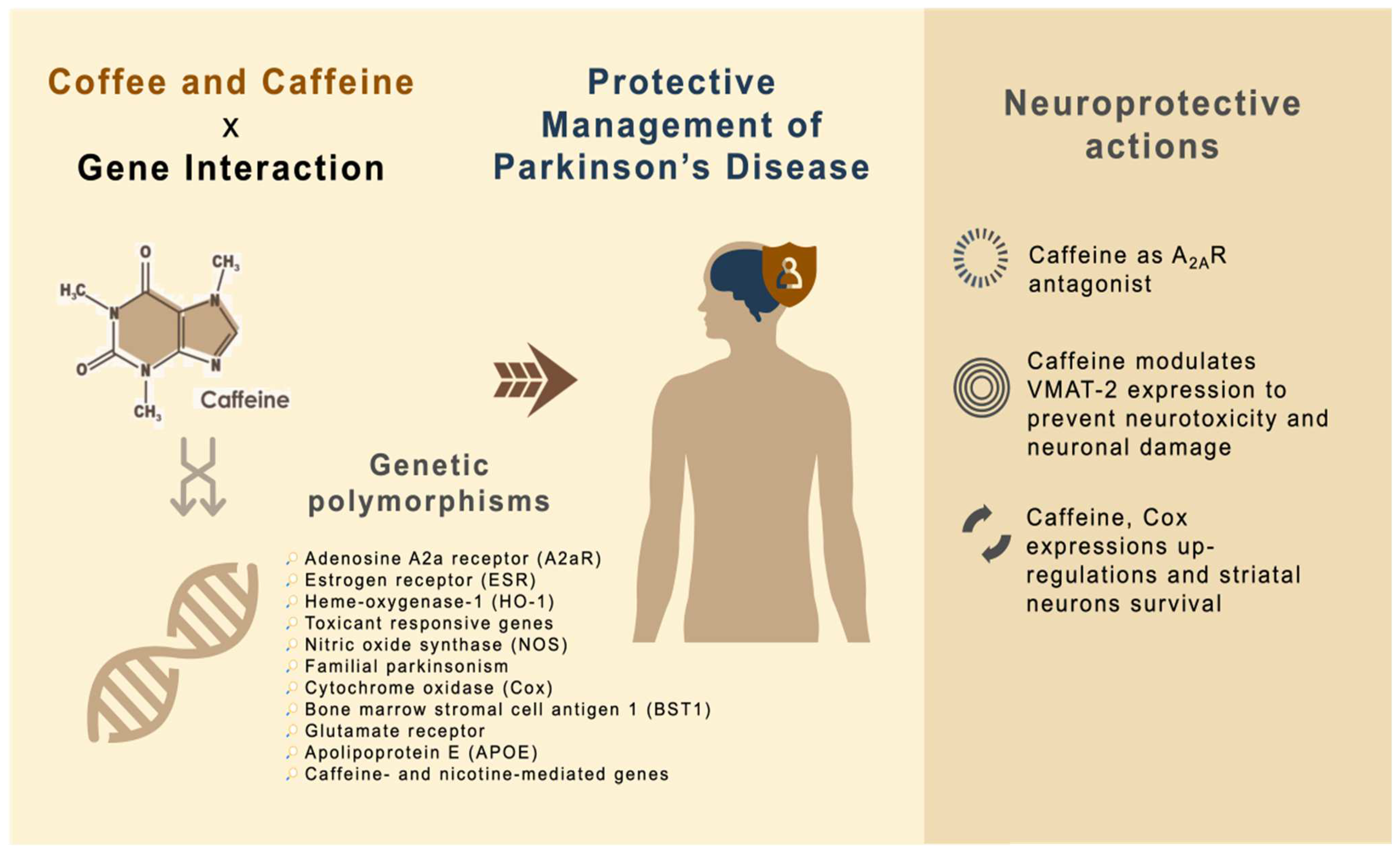 Antioxidants 11 01587 g002 Antioxidants 11 01587 g002