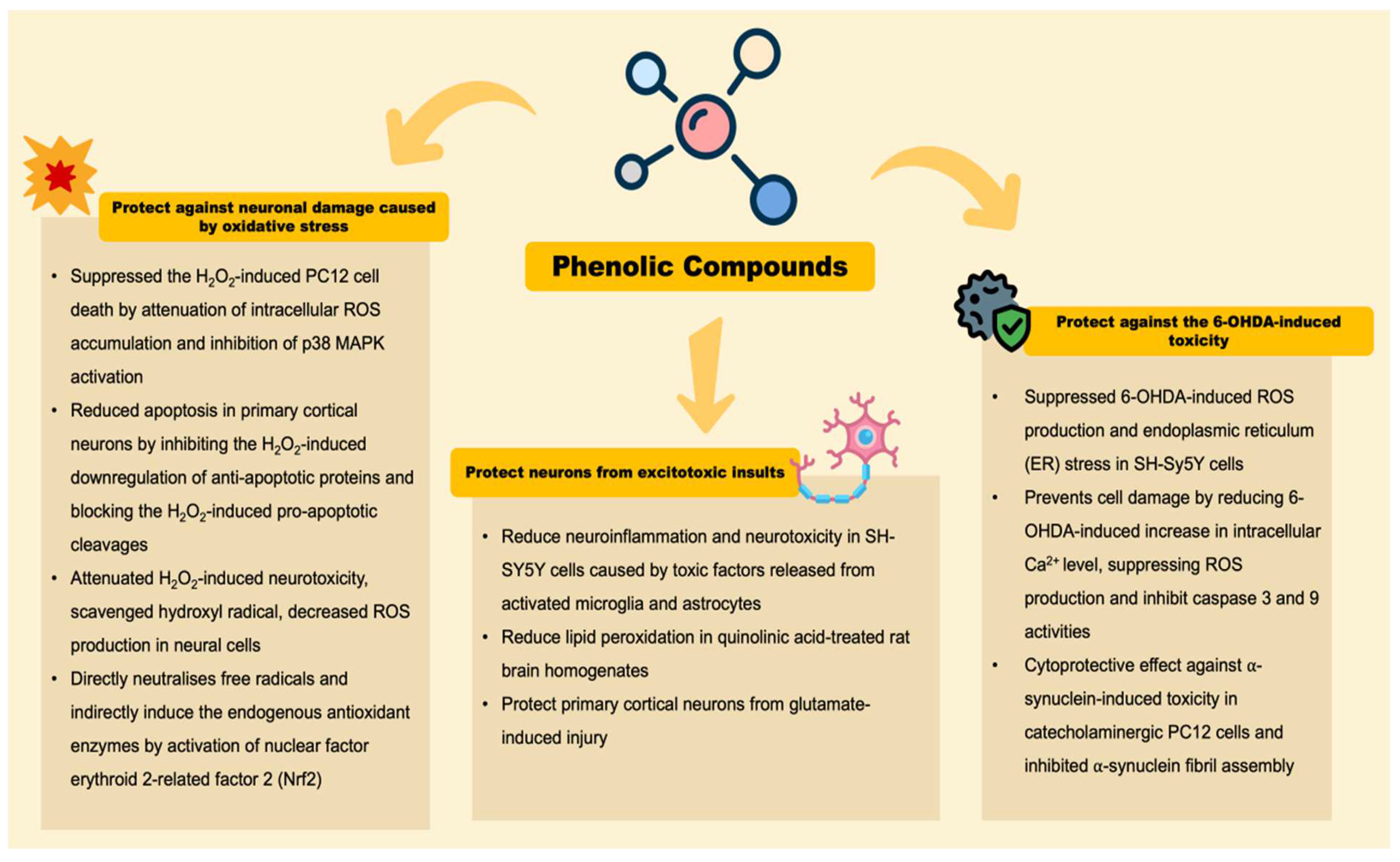 Antioxidants 11 01587 g003 Antioxidants 11 01587 g003