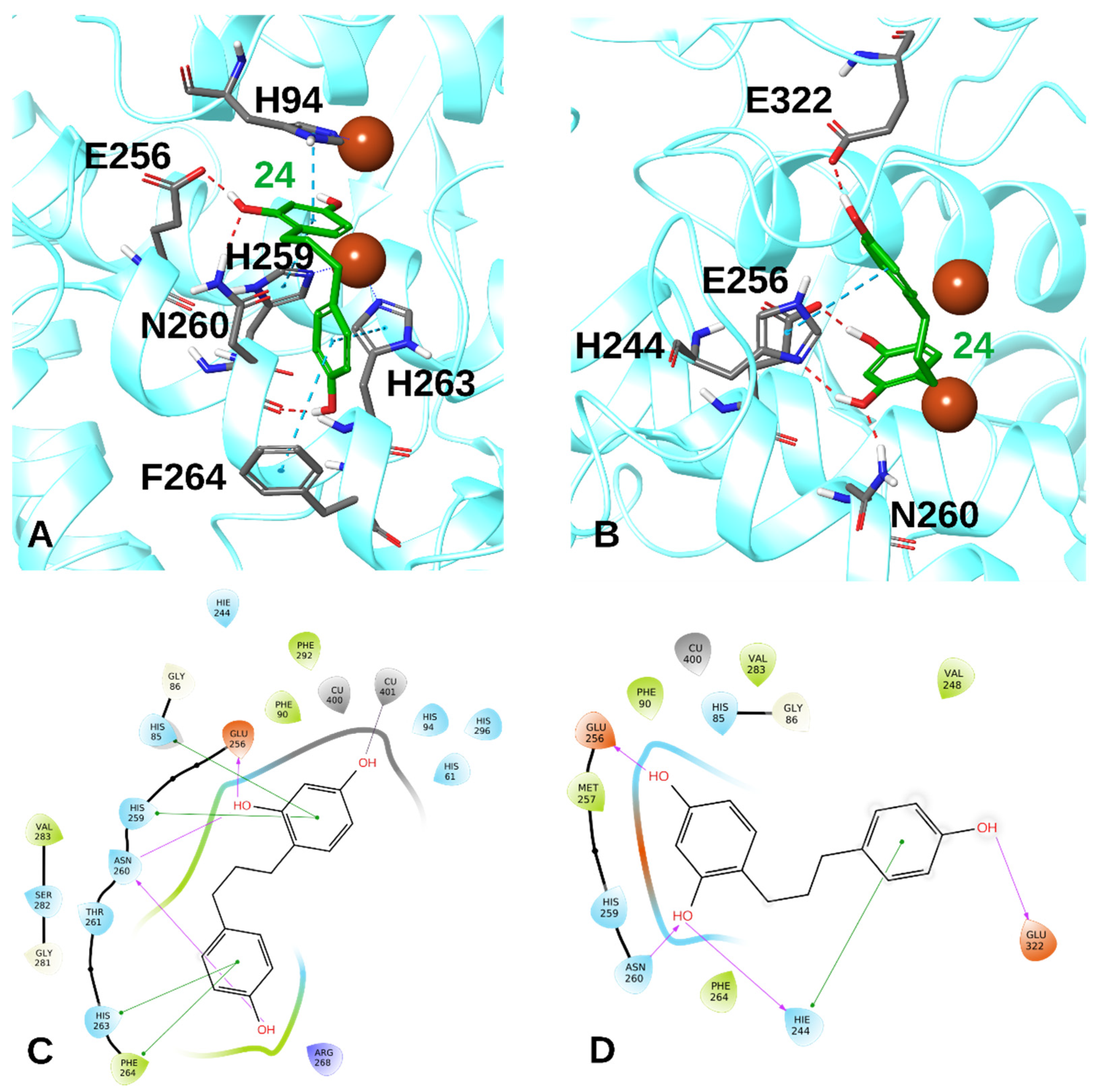 Antioxidants 11 01593 g003 Antioxidants 11 01593 g003