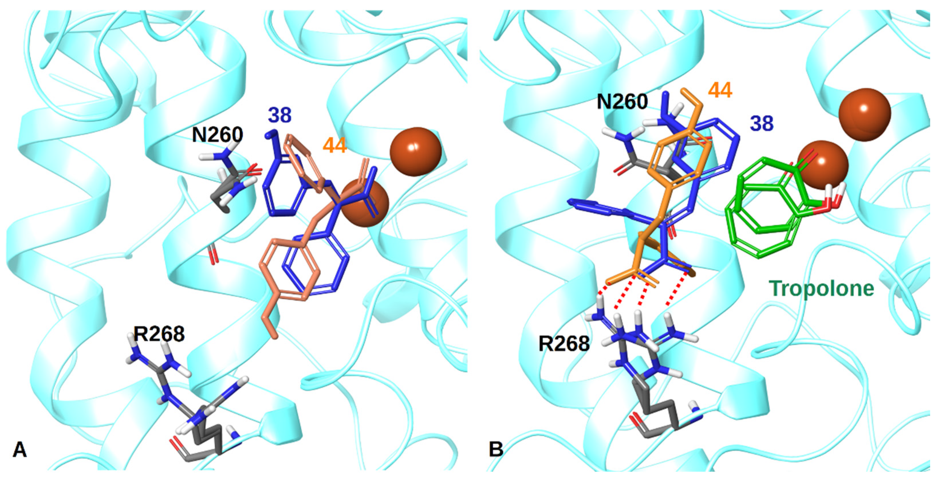 Antioxidants 11 01593 g004 Antioxidants 11 01593 g004