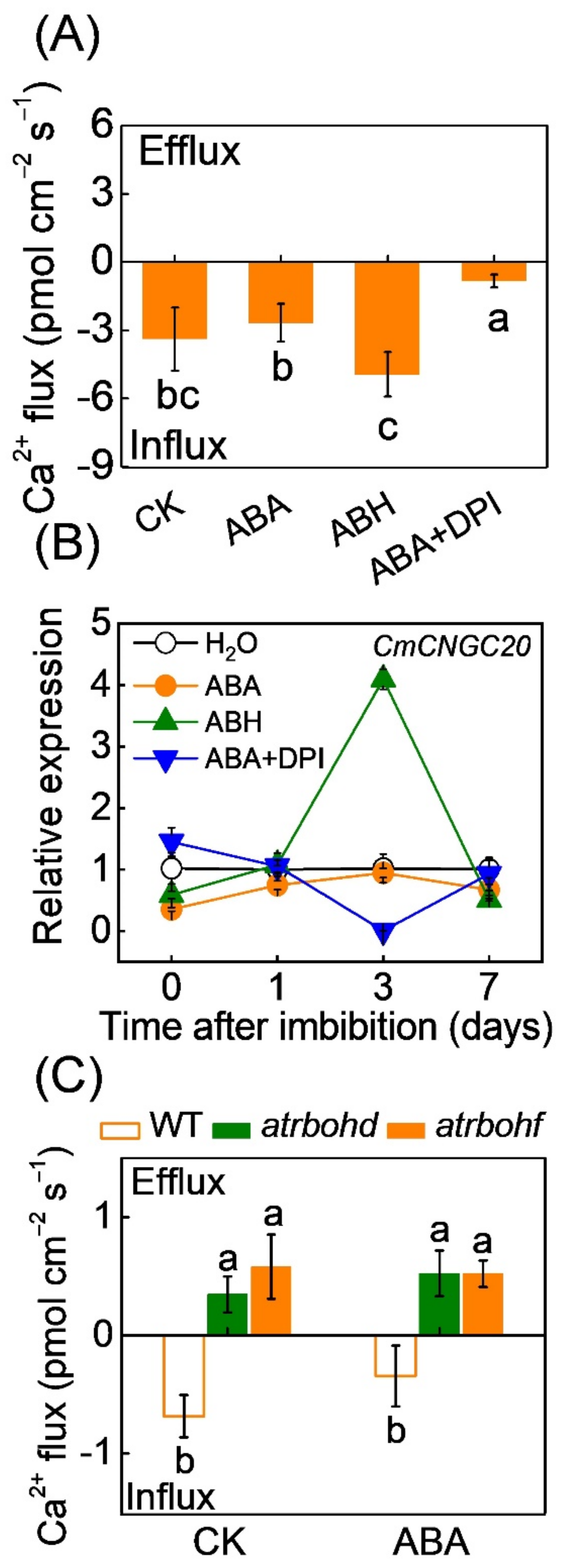Antioxidants 11 01594 g002
