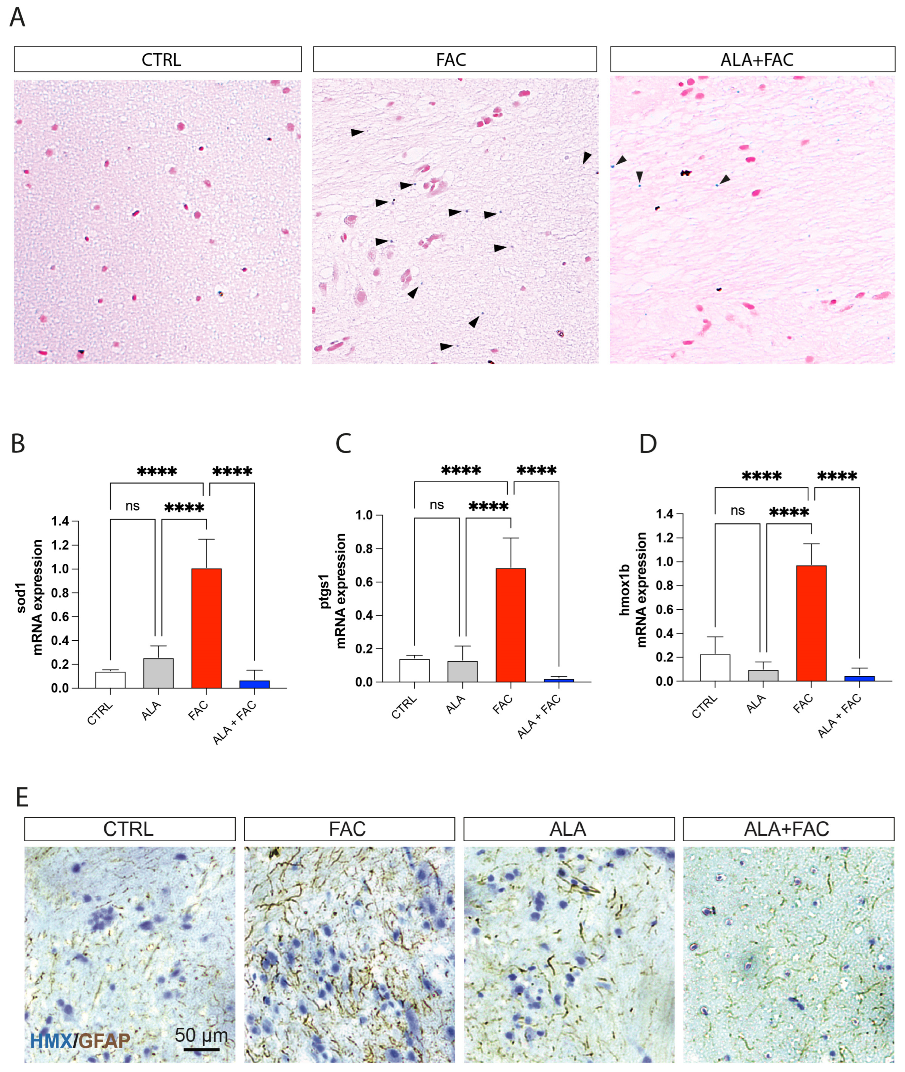 Antioxidants 11 01596 g006