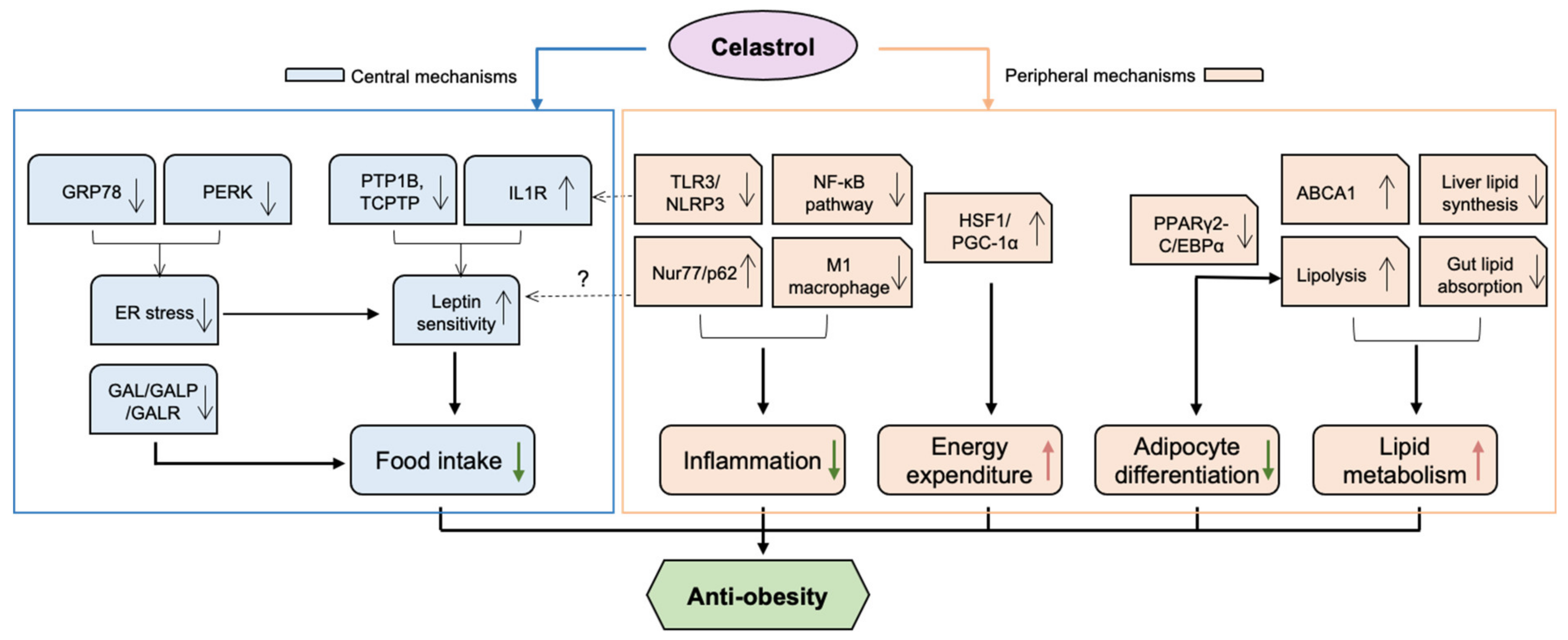 Antioxidants 11 01597 g001