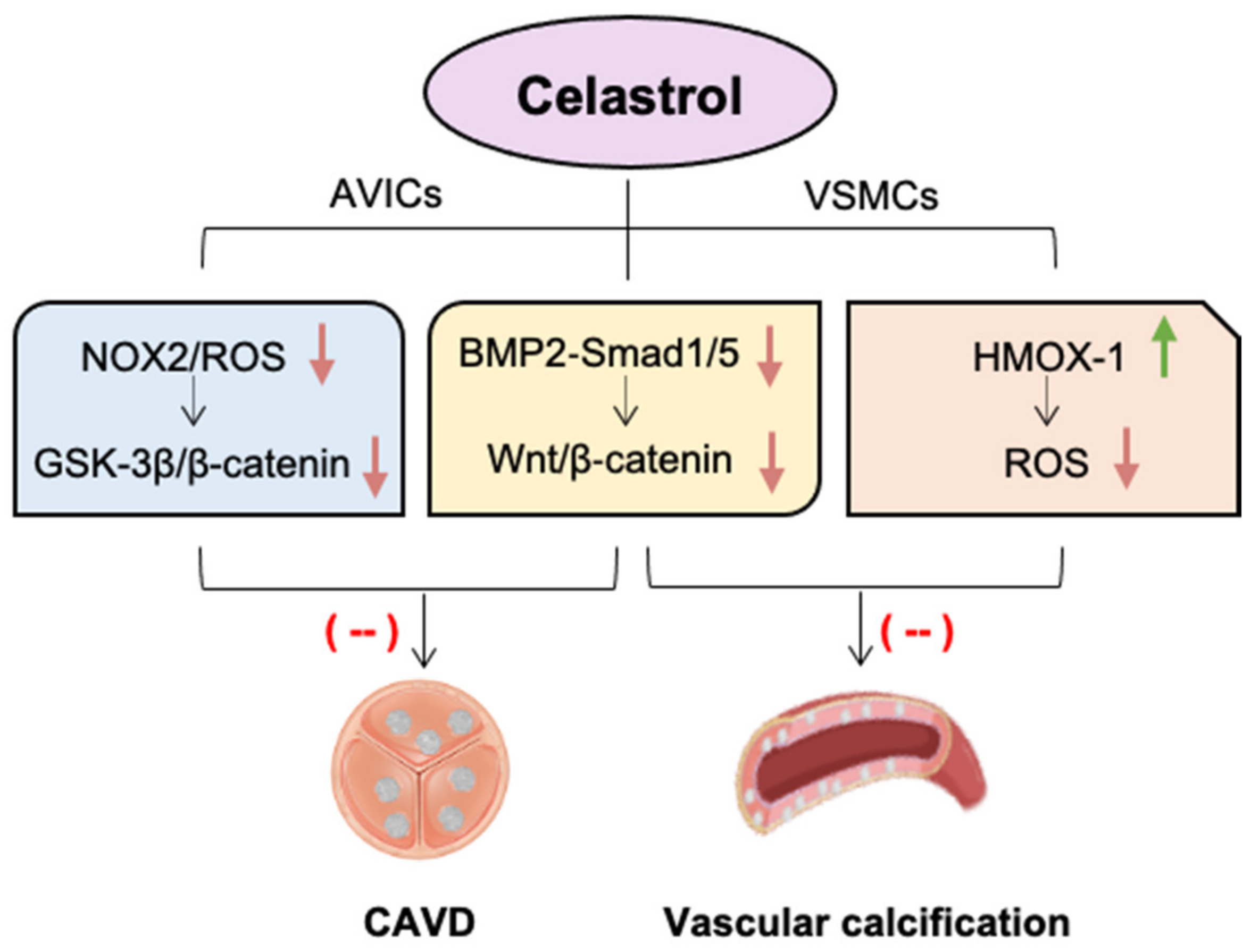 Antioxidants 11 01597 g002