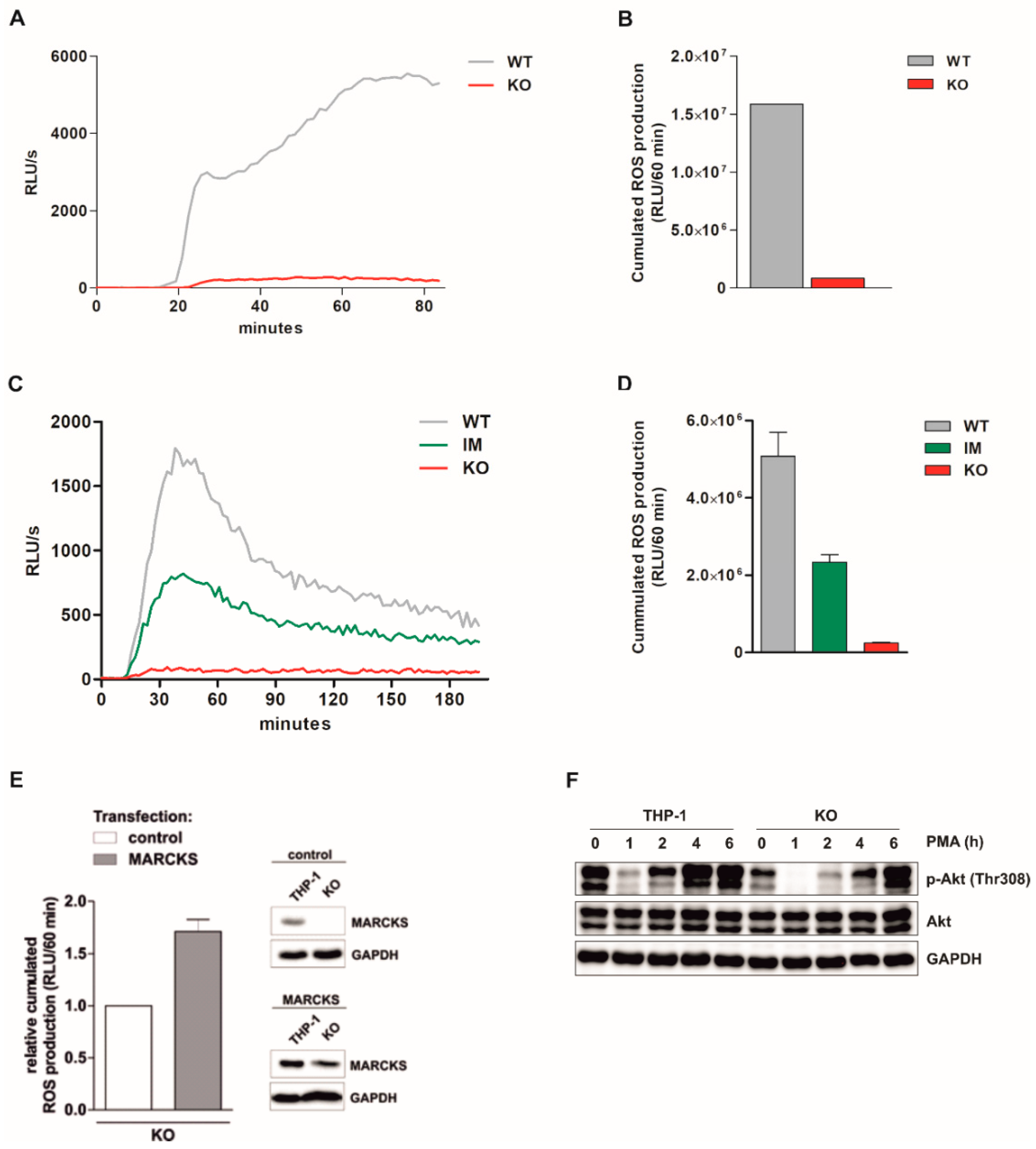 Antioxidants 11 01600 g002
