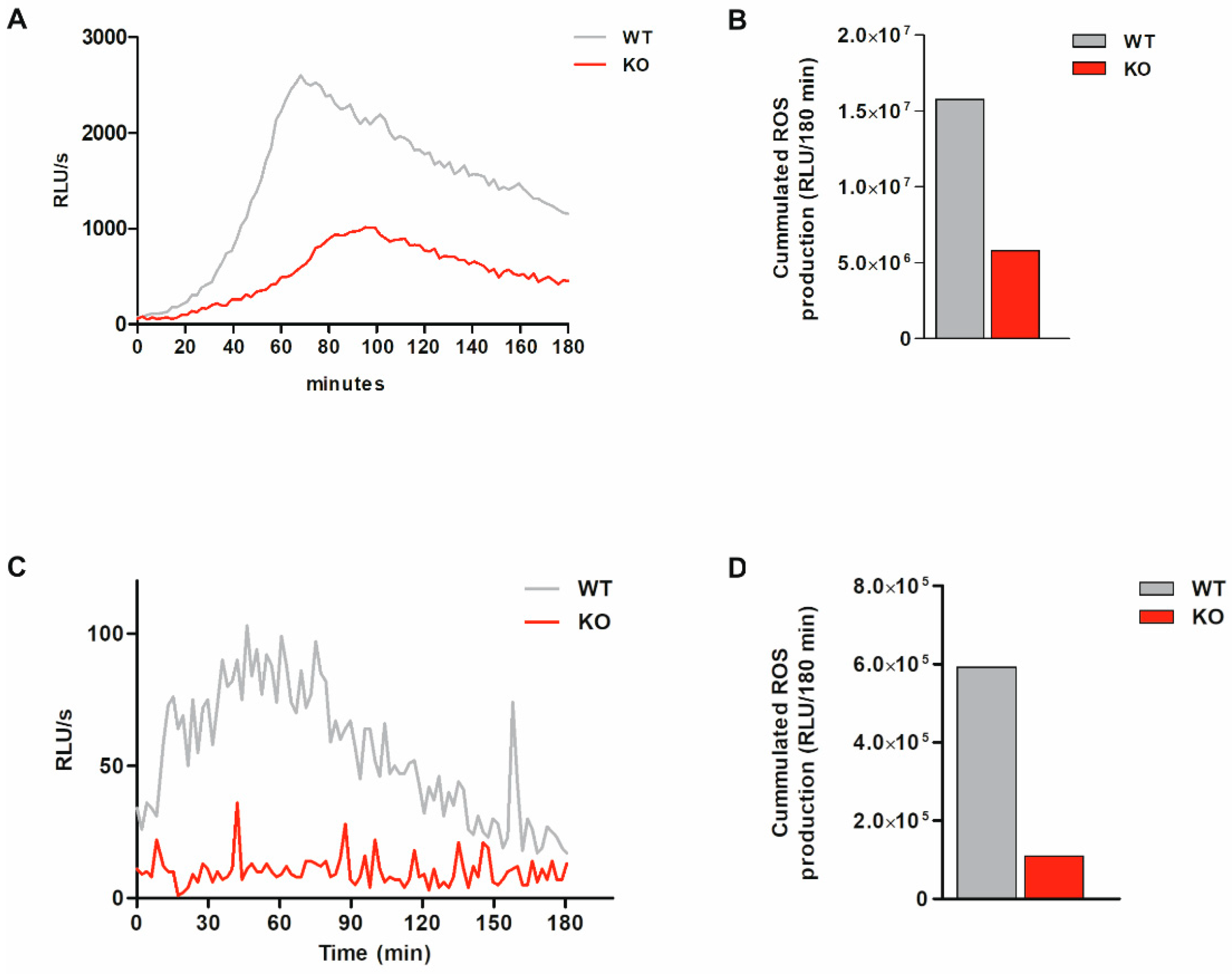 Antioxidants 11 01600 g003