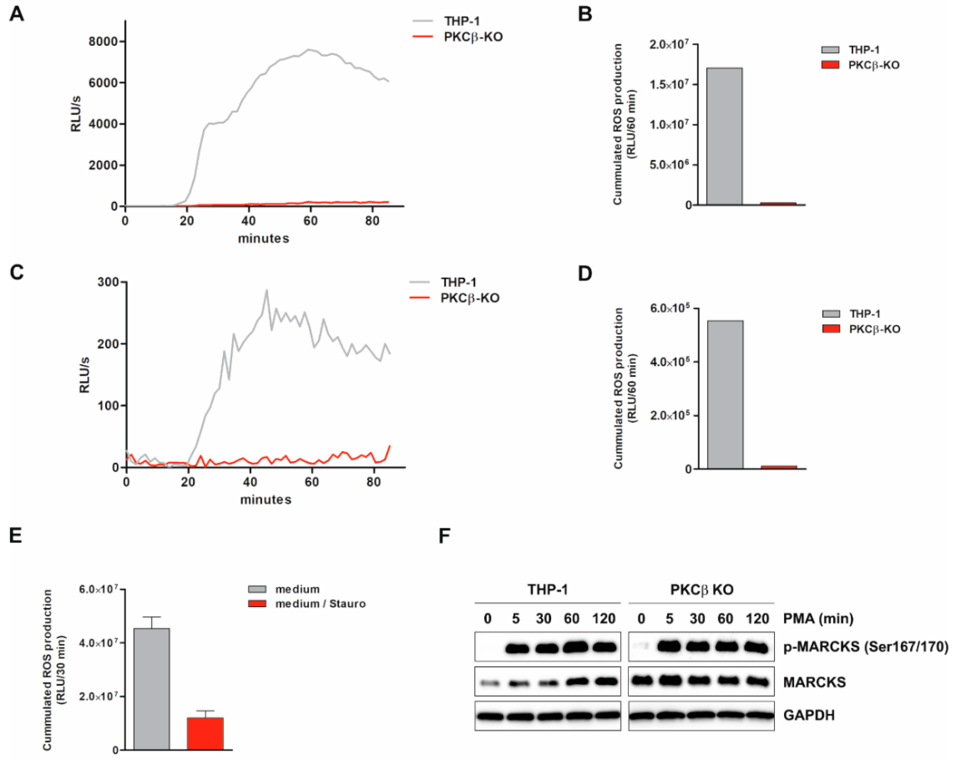 Antioxidants 11 01600 g004