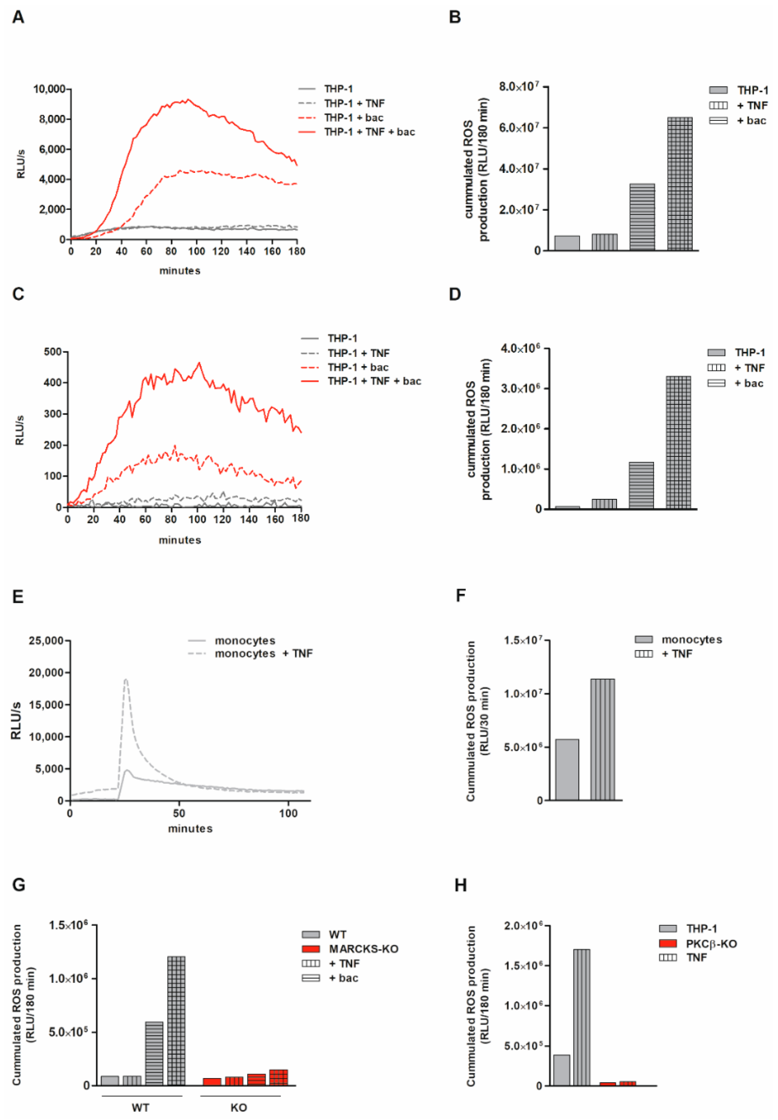 Antioxidants 11 01600 g005