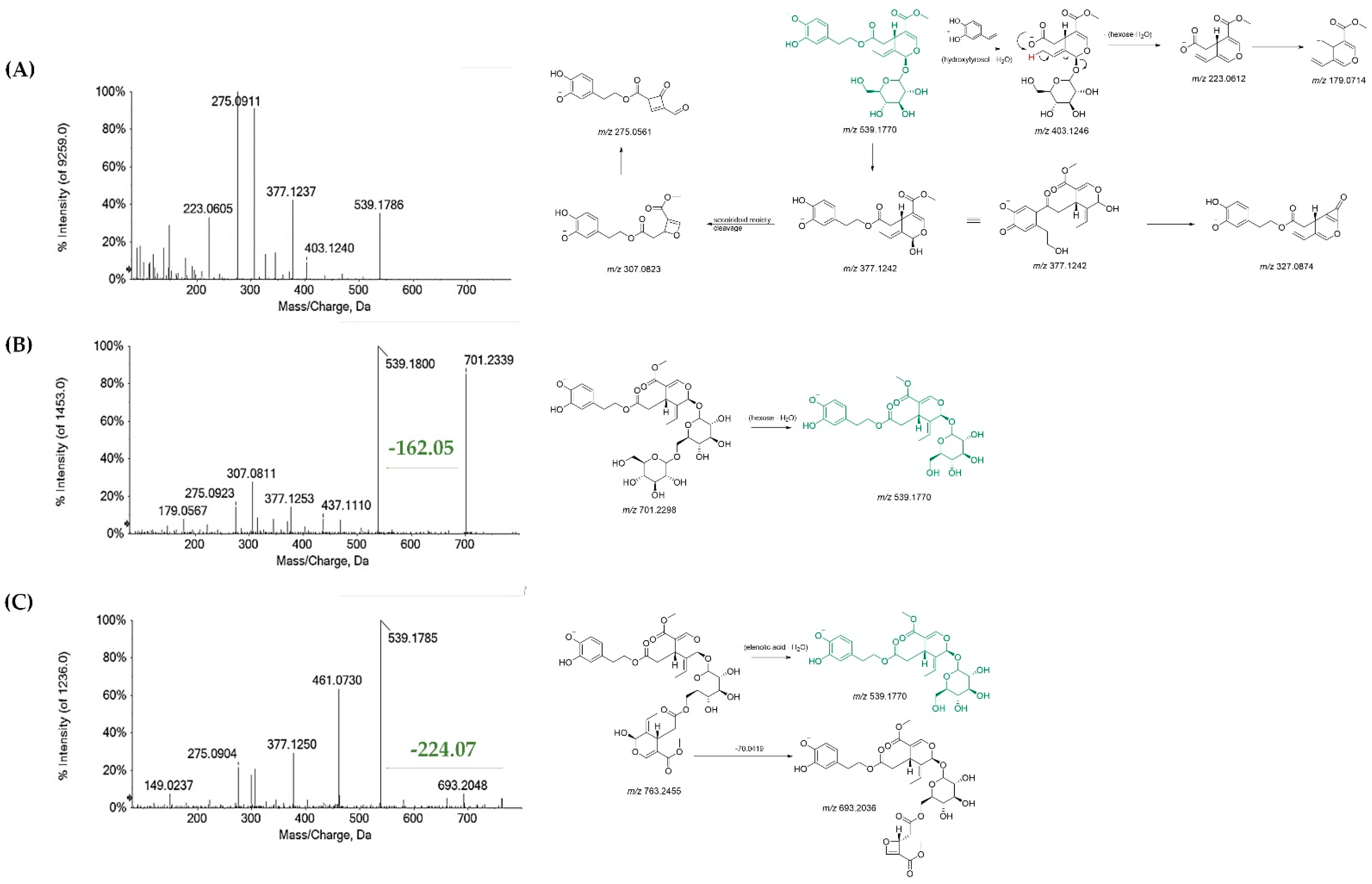Antioxidants 11 01603 g002