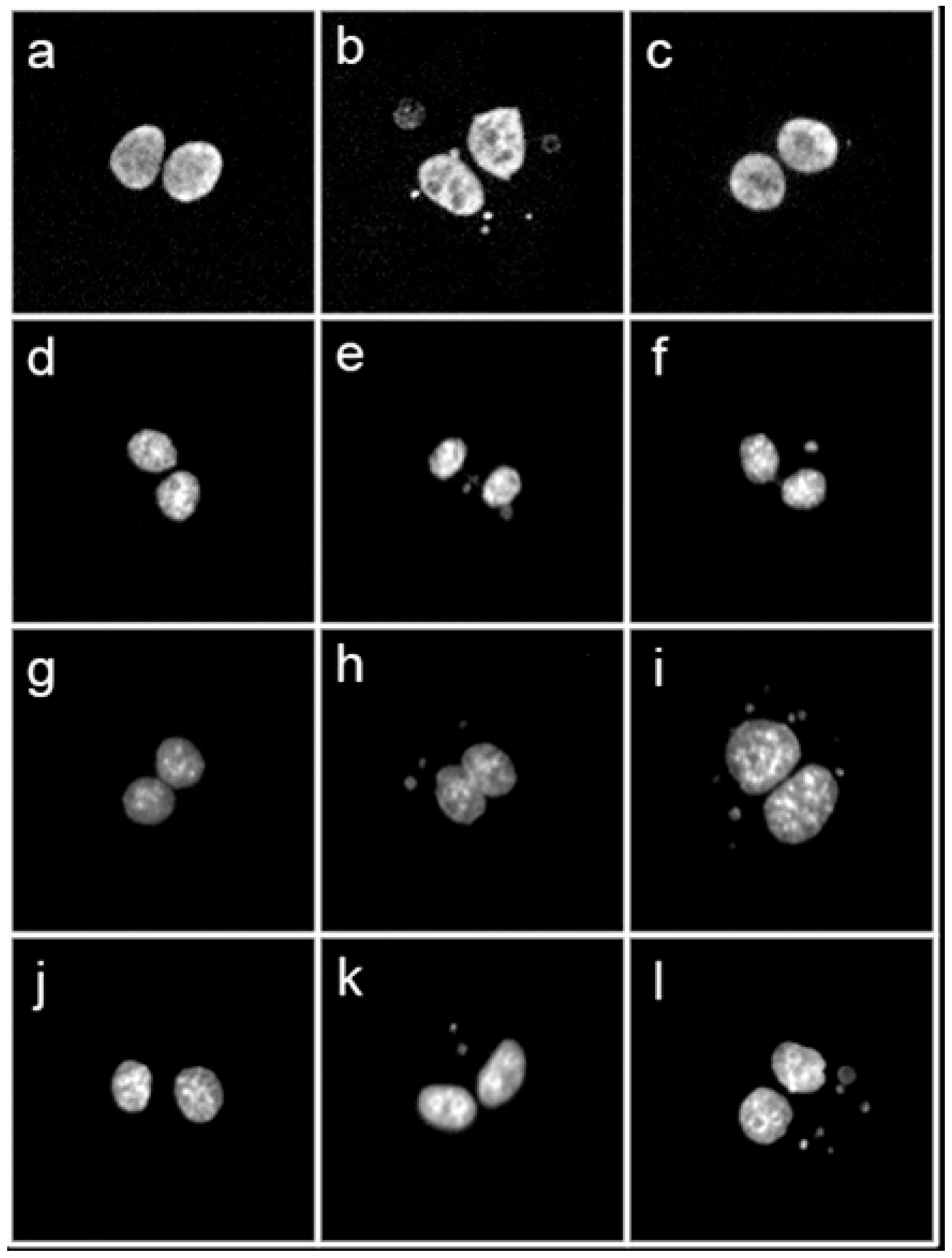 Antioxidants 11 01603 g006