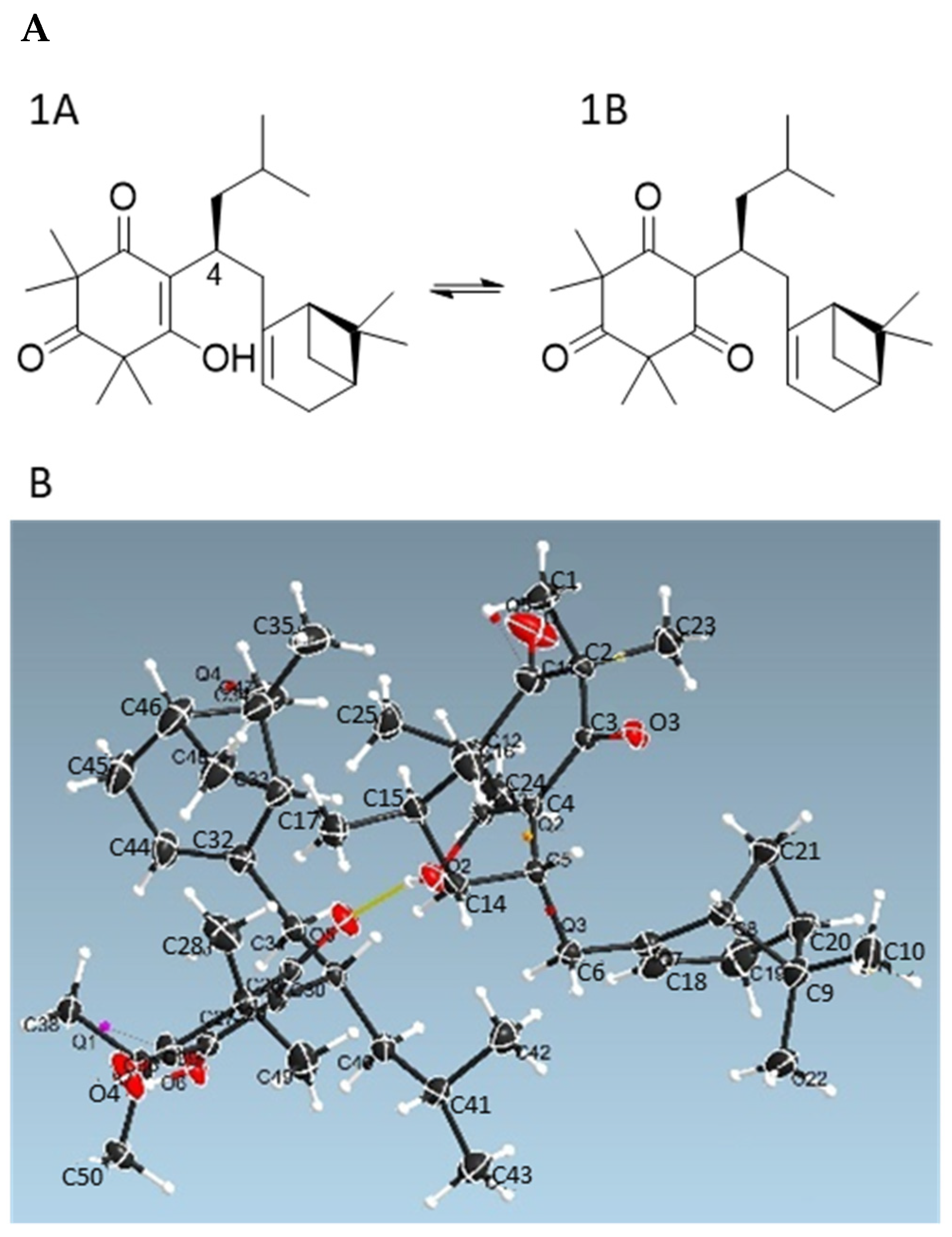 Antioxidants 11 01604 g002
