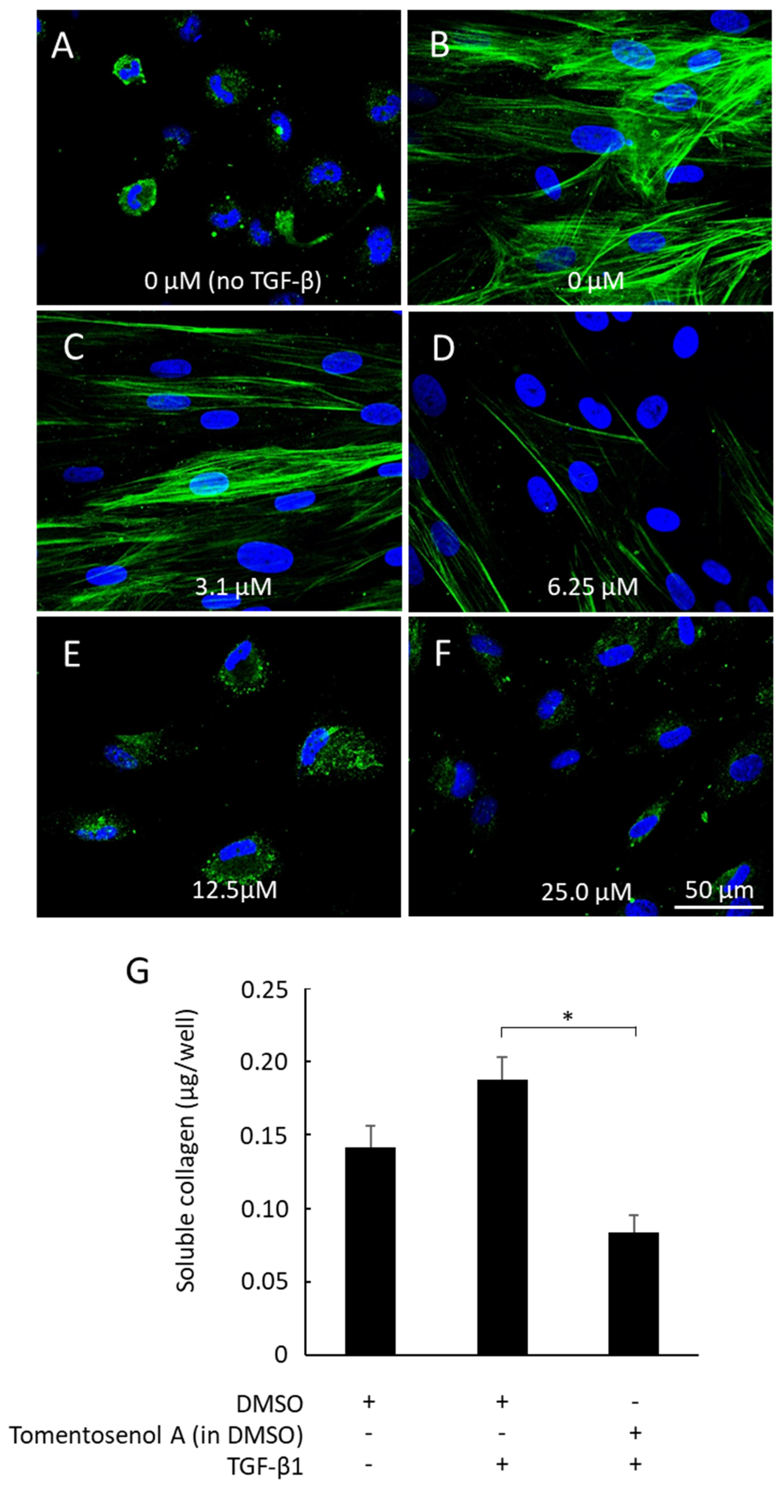 Antioxidants 11 01604 g006