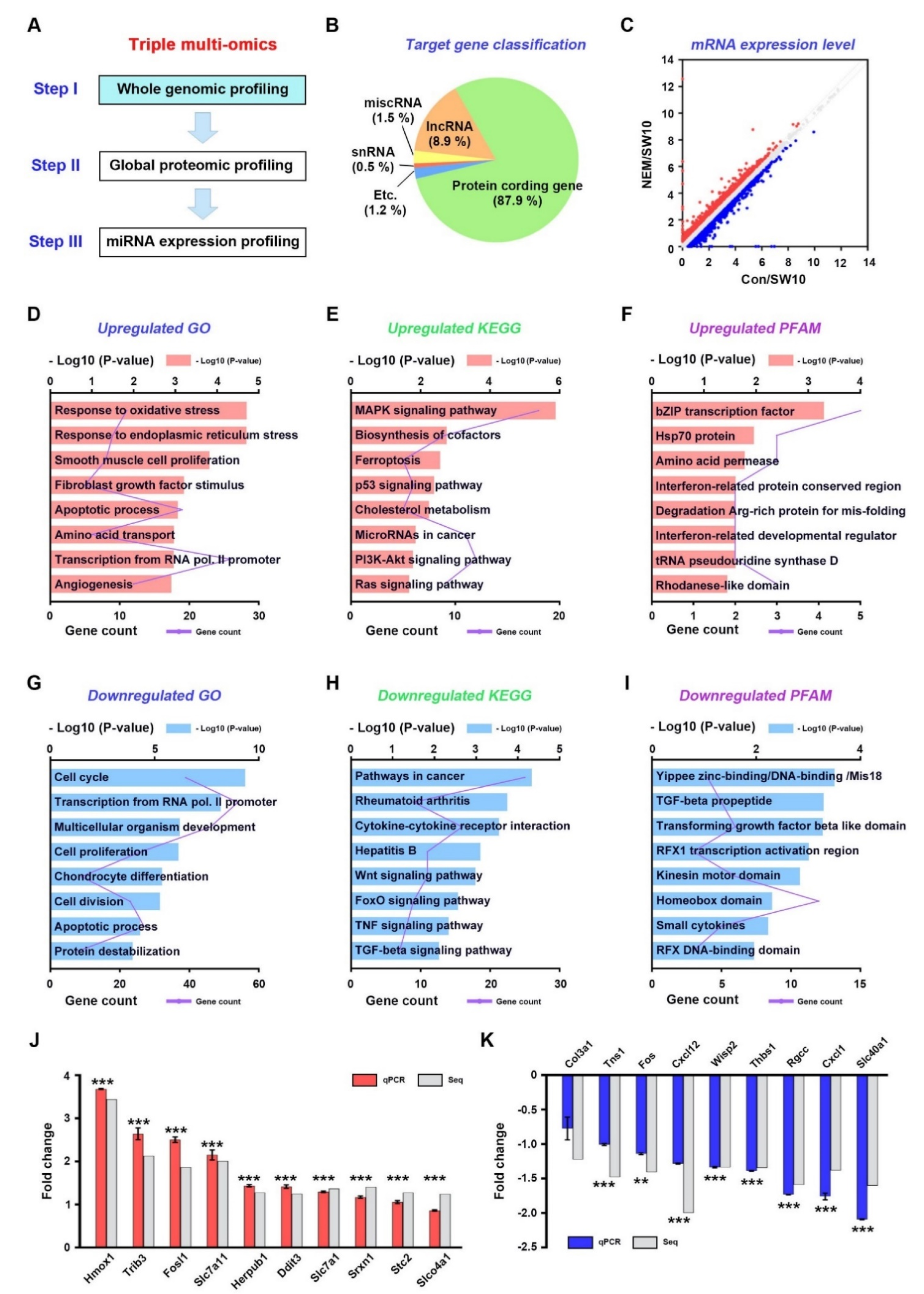 Antioxidants 11 01606 g001