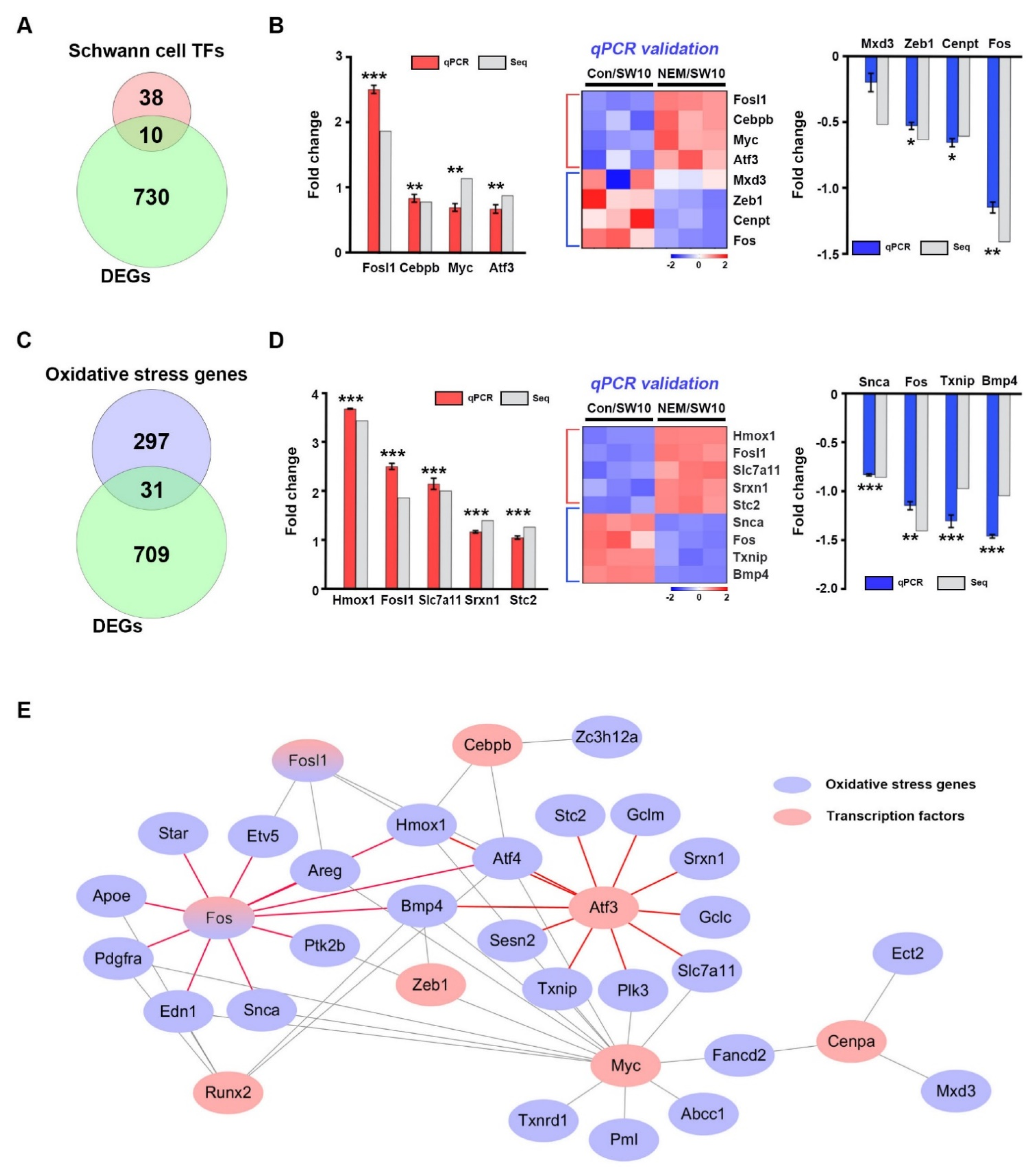 Antioxidants 11 01606 g002