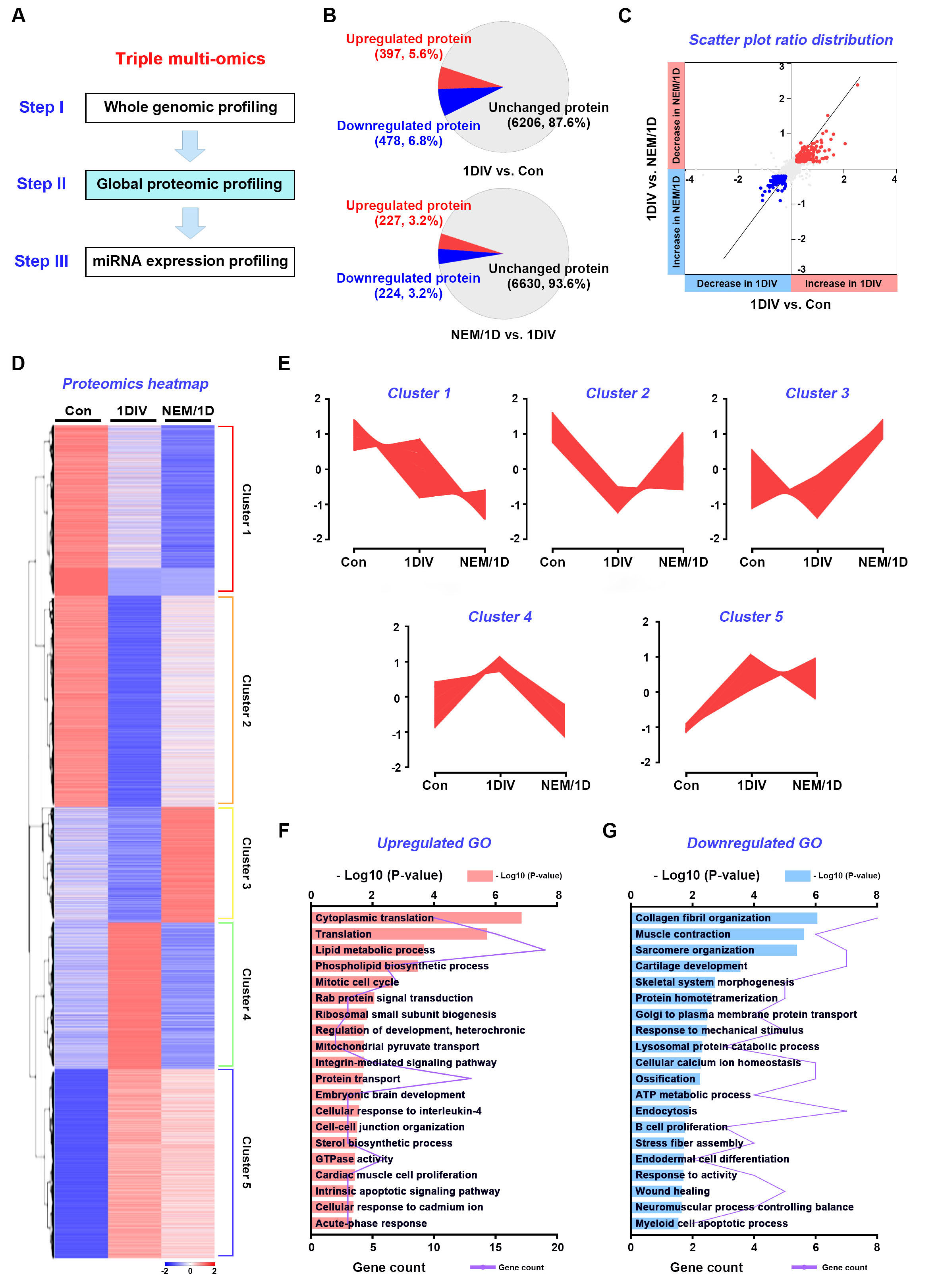 Antioxidants 11 01606 g003