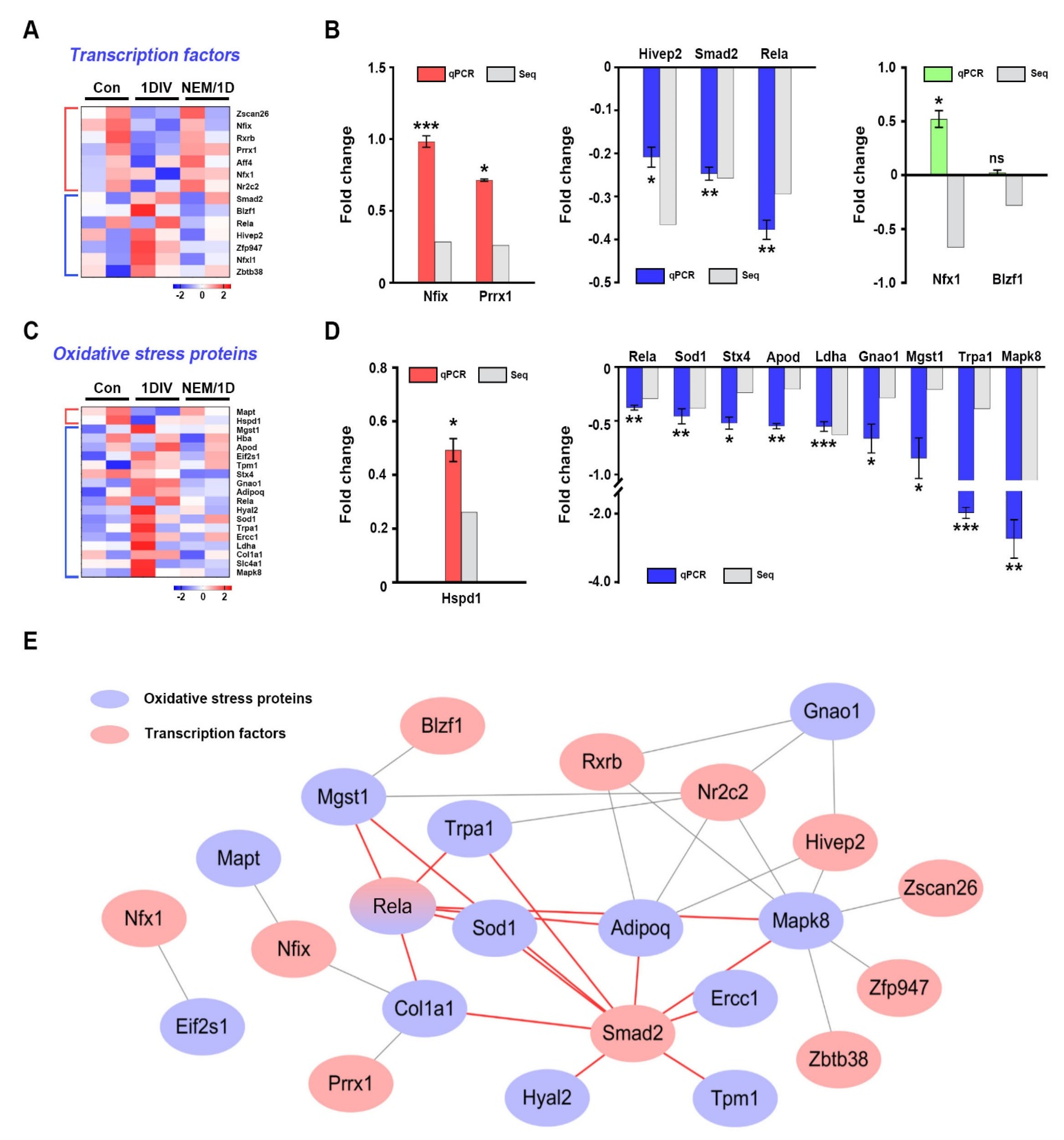 Antioxidants 11 01606 g004