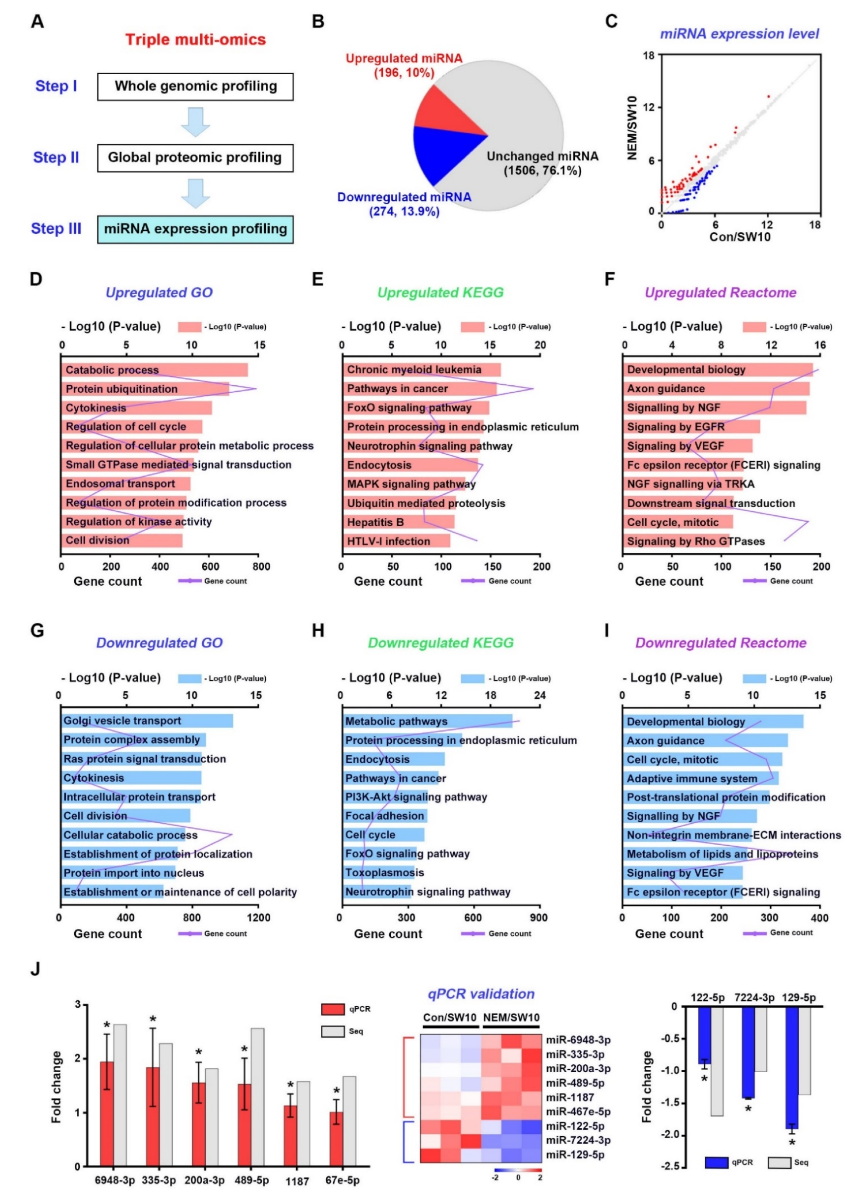 Antioxidants 11 01606 g005