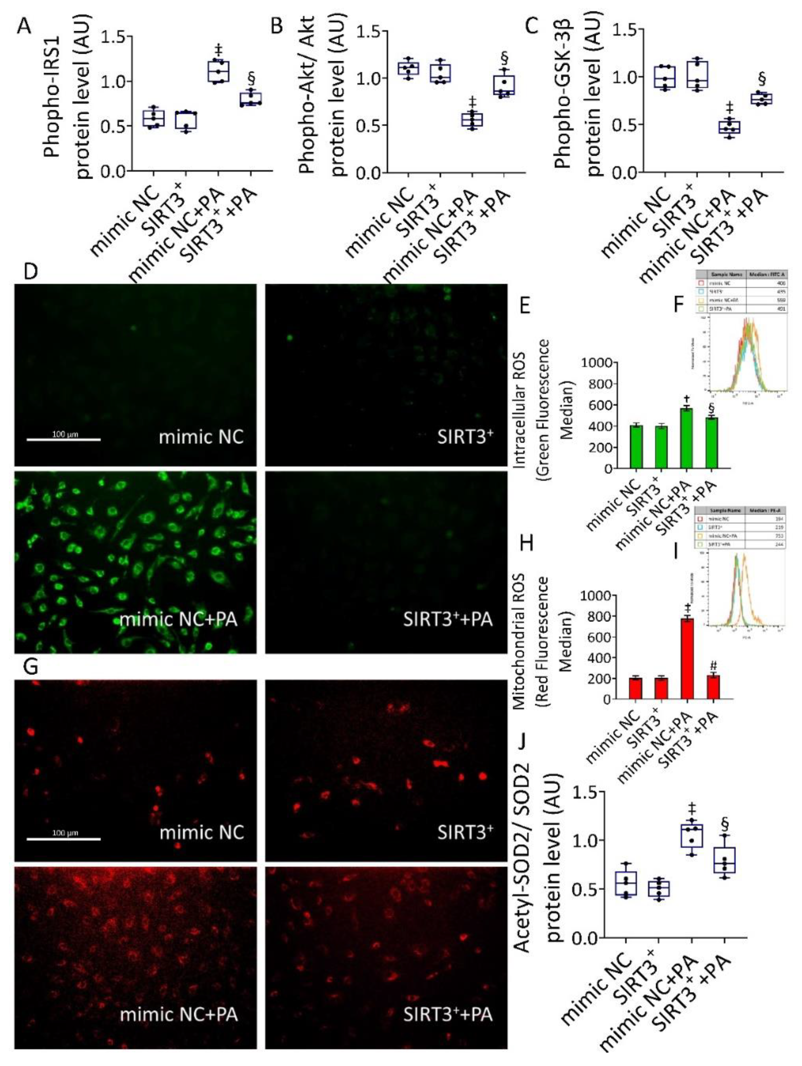 Antioxidants 11 01611 g003