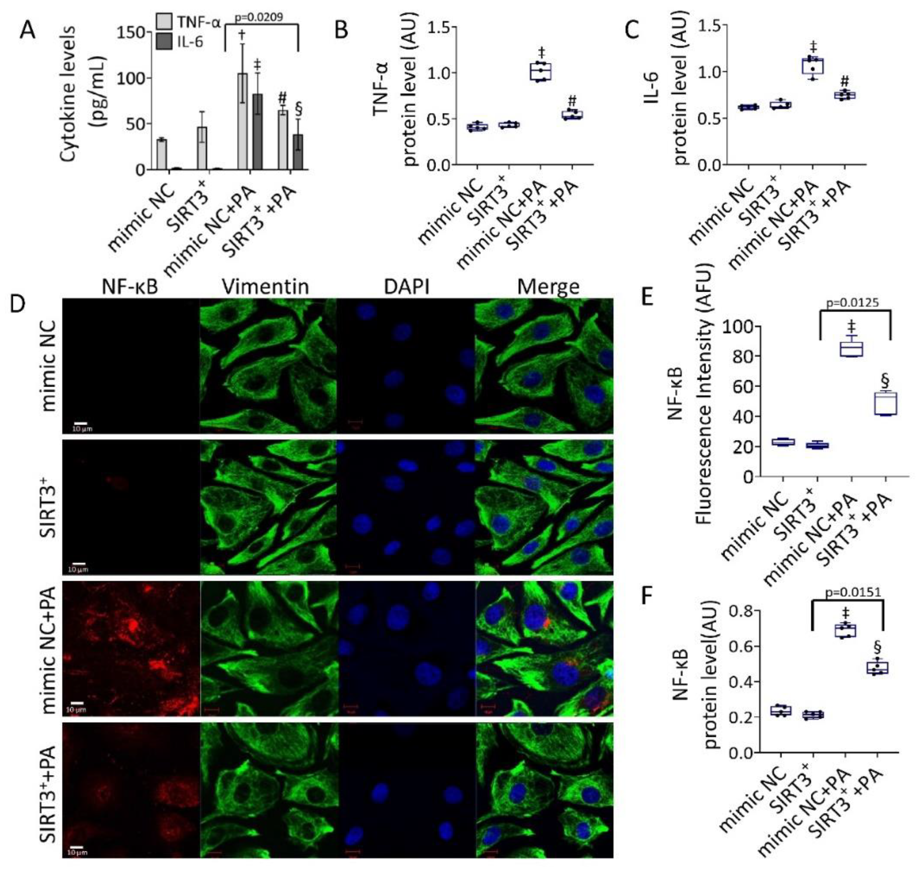 Antioxidants 11 01611 g004