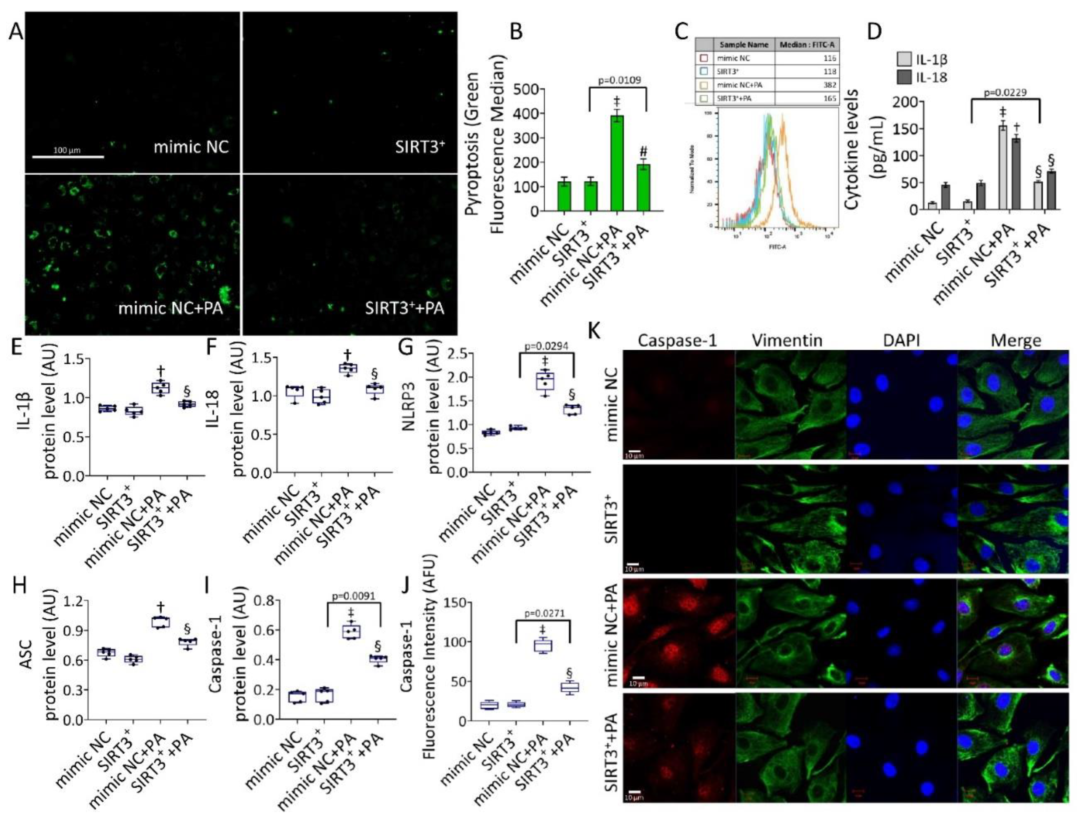 Antioxidants 11 01611 g005